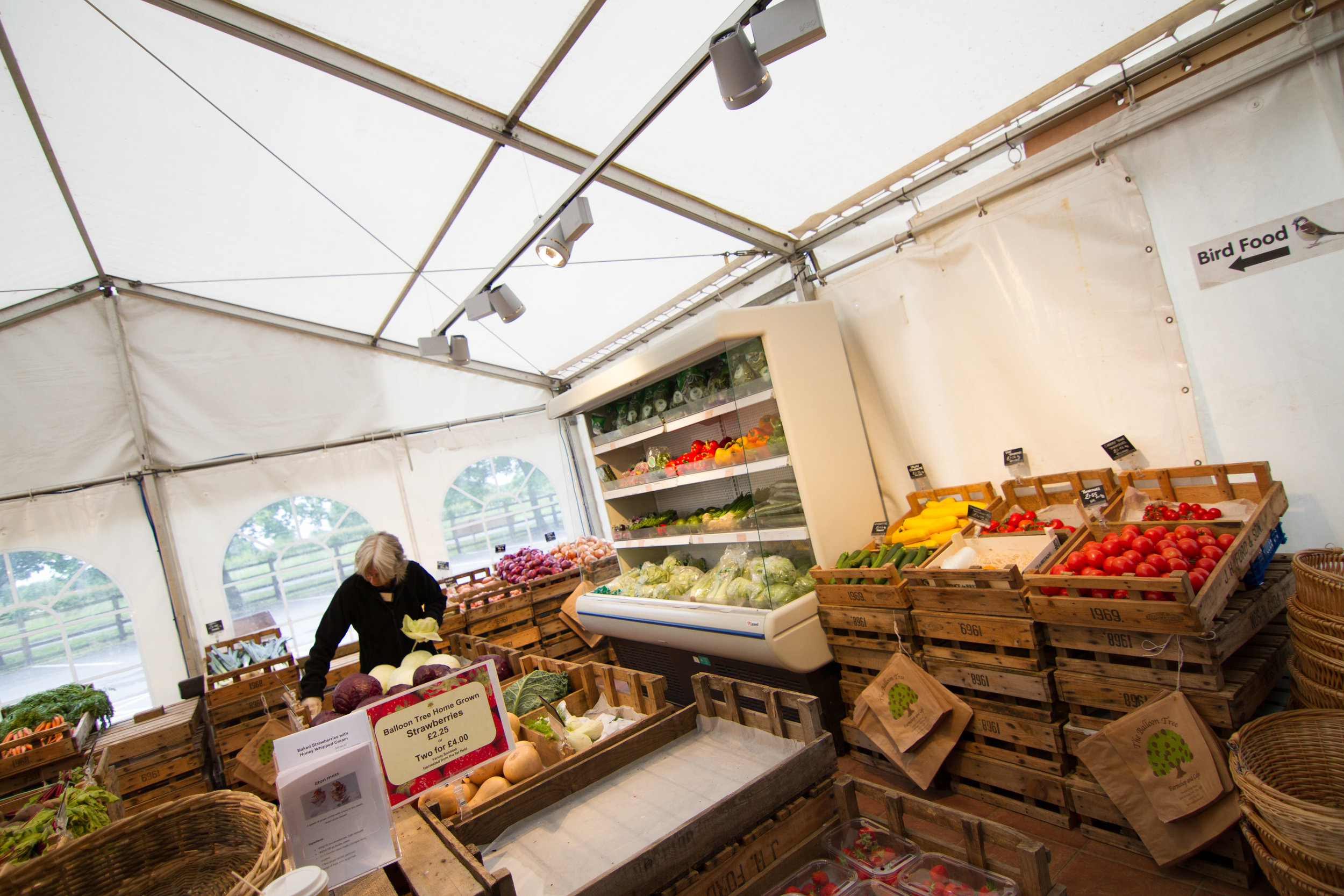 The Balloon Tree Interior -1172.jpg