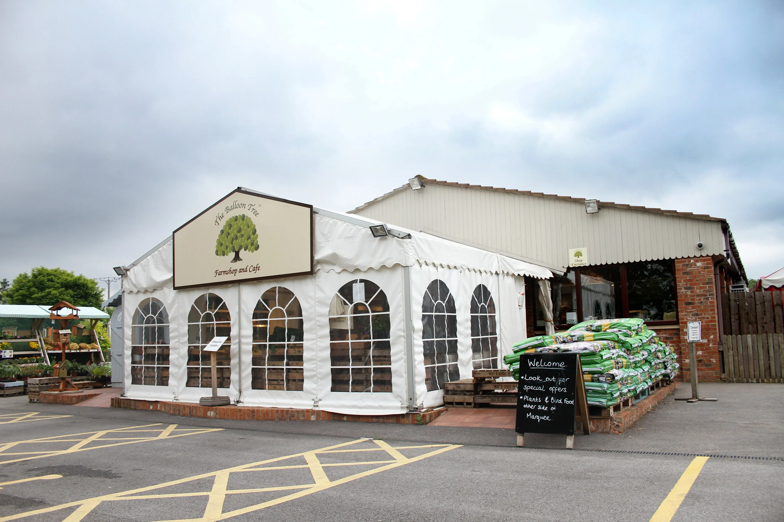 The Balloon Tree Exterior -1.jpg