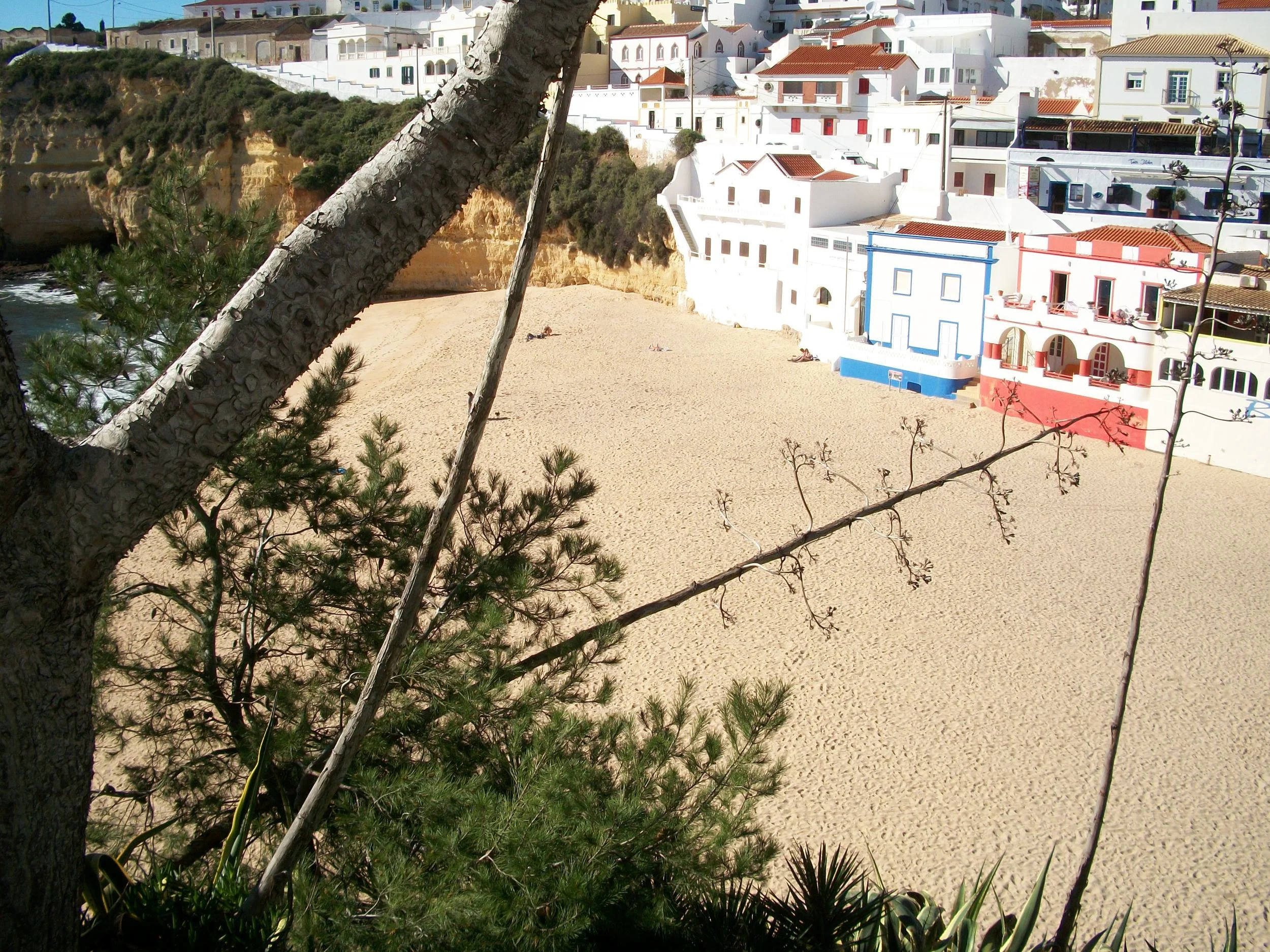 100_4216.JPG