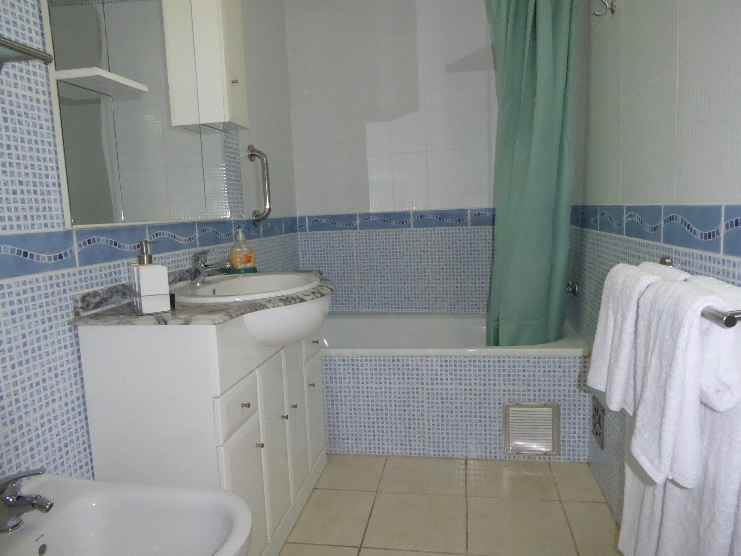 P1010291.JPG