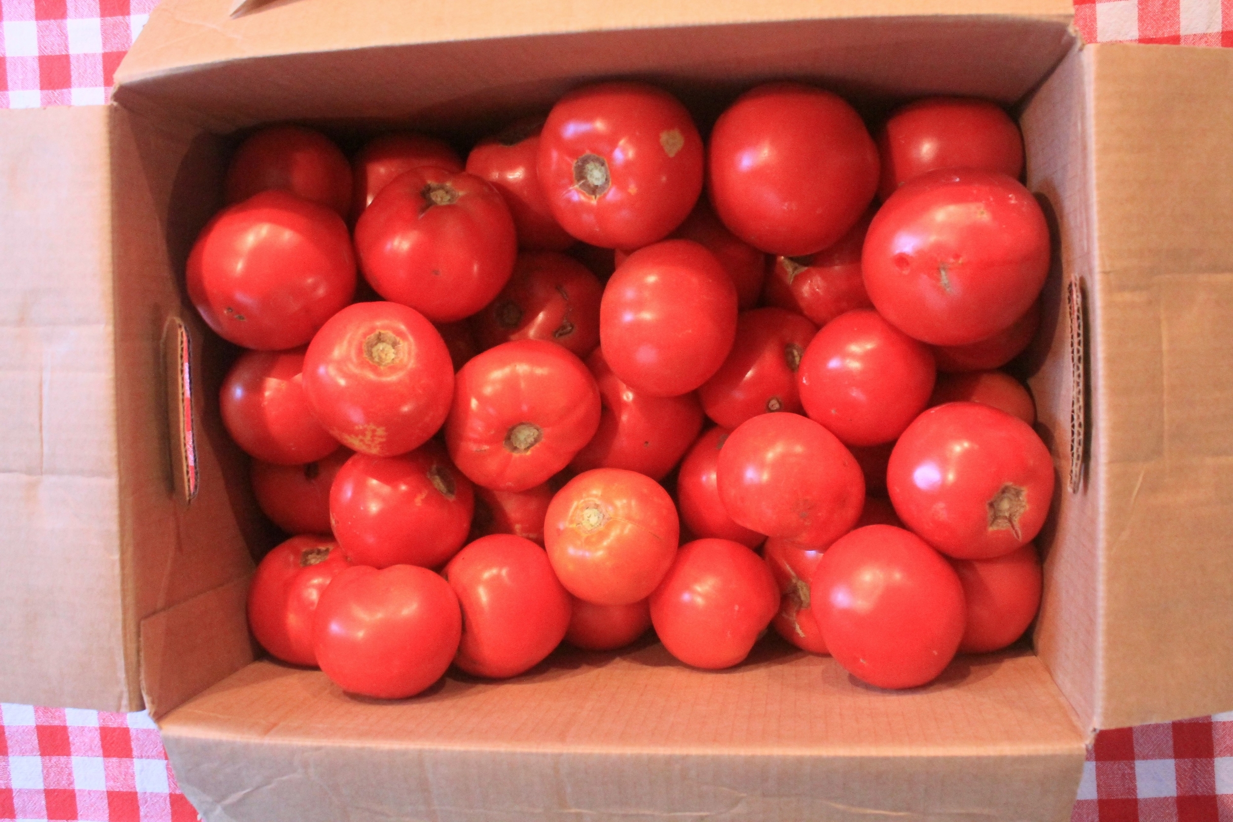 $10 worth of stewing tomatoes
