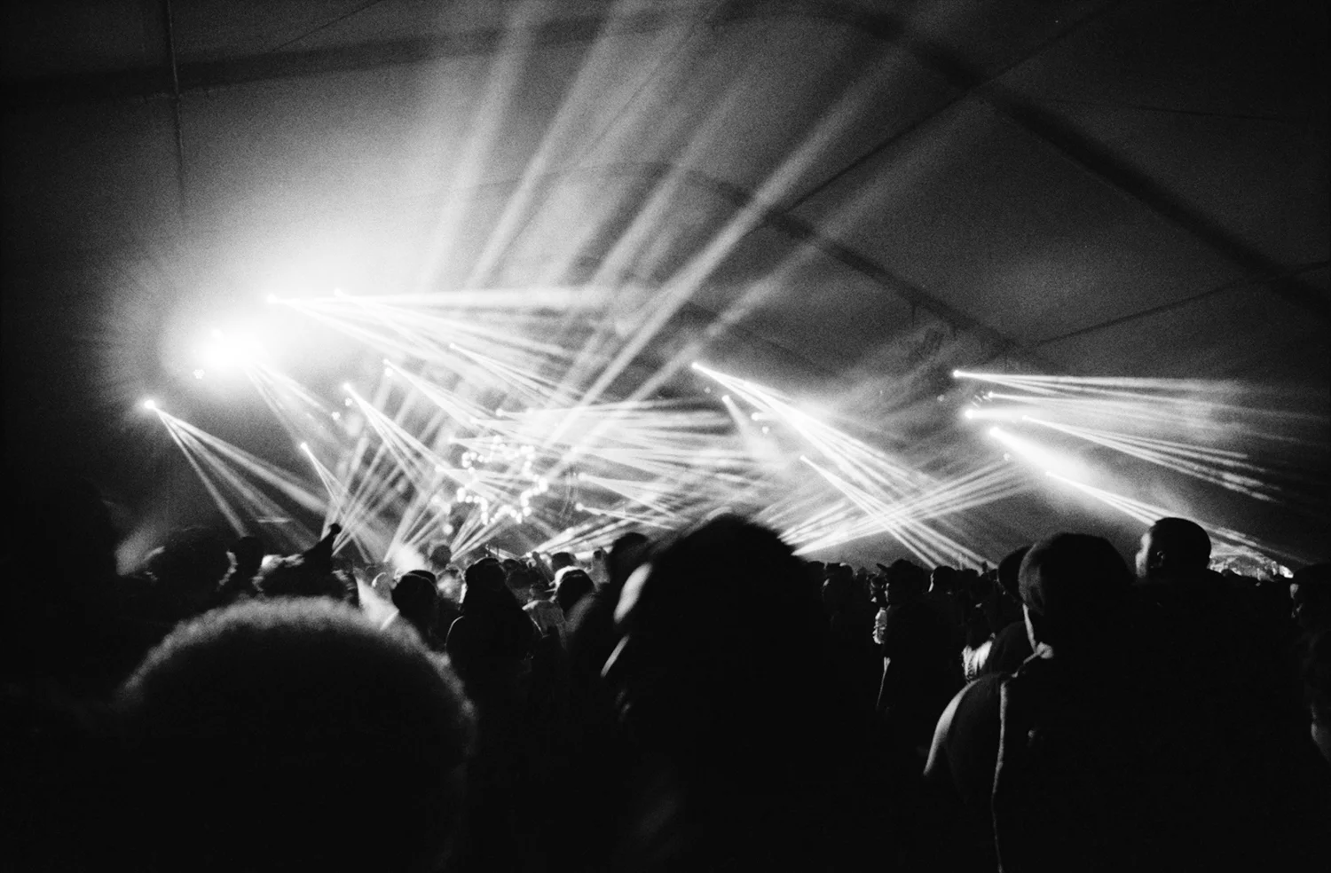lights.jpg