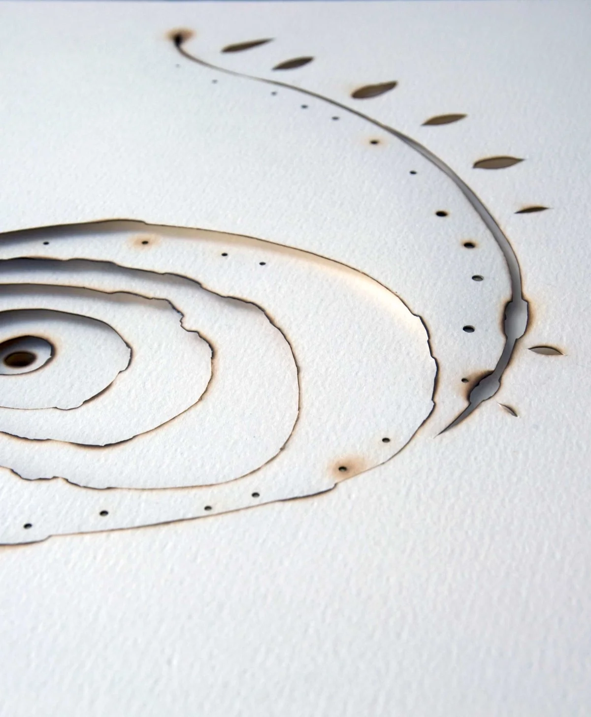 Kelly M. O'Brien, Playing With Fire No. 3 (detail). Paper, gold leaf, ink, flame. 21.5 x 18 x 2.75 inches. ©2013.