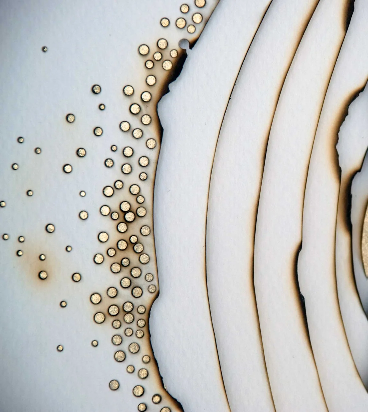 Kelly M. O'Brien, Playing With Fire No. 5 (detail). Paper, gold leaf, flame, 21.5 x 18 x 2.75 inches. ©2013.