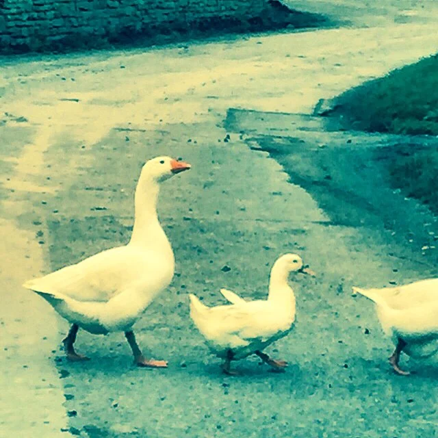 Local traffic jam