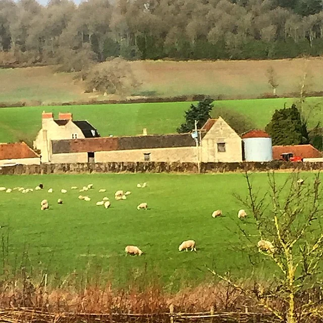 View from the new studio