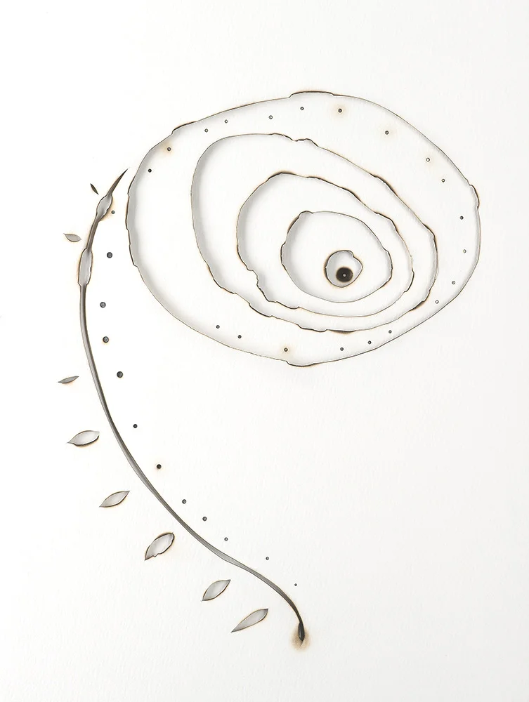 Kelly M. O'Brien, Playing With Fire No. 3 . Paper, gold leaf, ink, flame. 21.5 x 18 x 2.75 inches. ©2013.