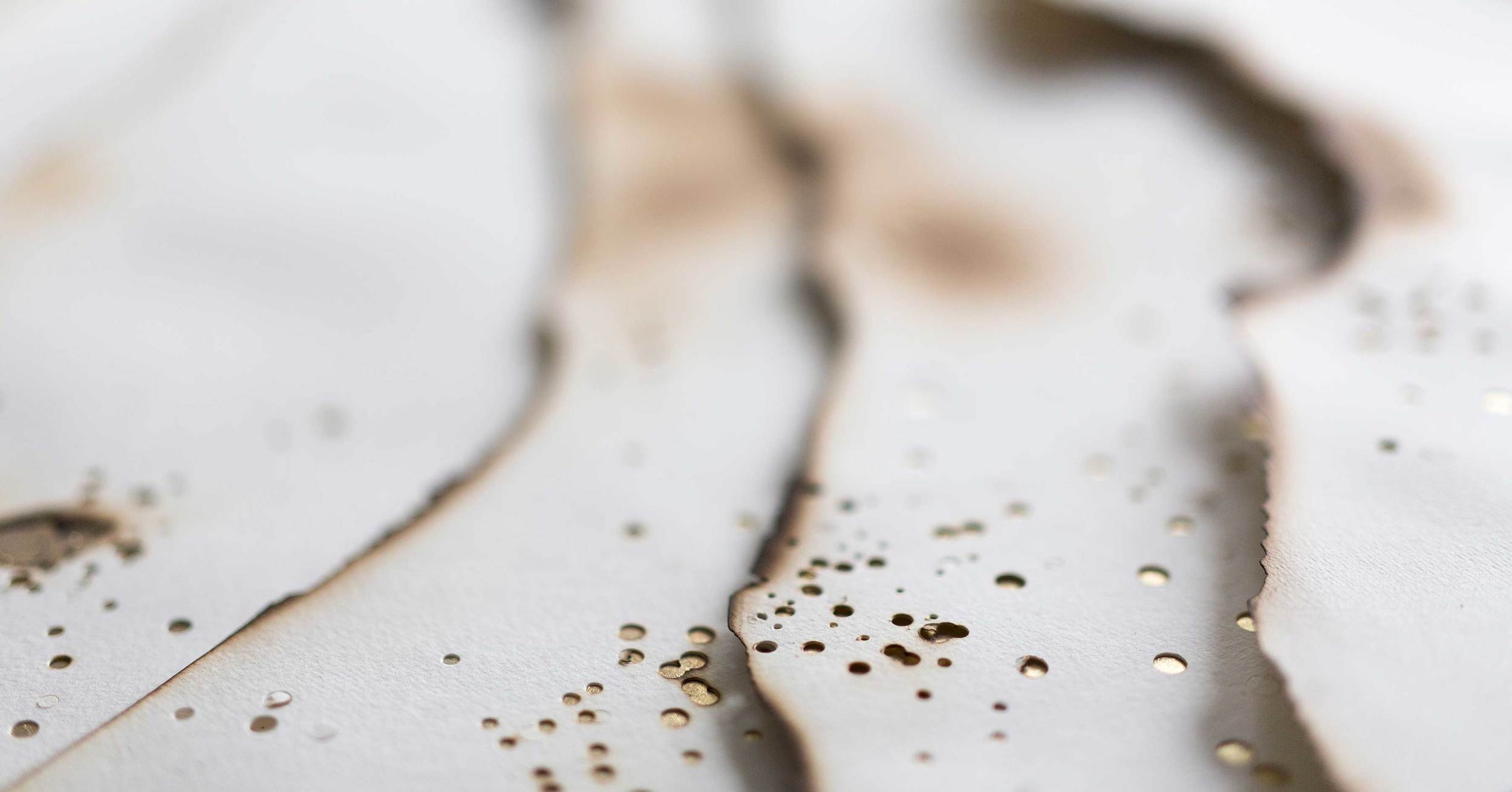 Kelly M. O'Brien, Playing With Fire No. 26 (detail) . Paper, gold leaf, flame. 35.5 x 29 x 2.65 inches. ©2016. Commissioned for The Address Boulevard Dubai. Image: Z. Al-Gafoor, Image Centre