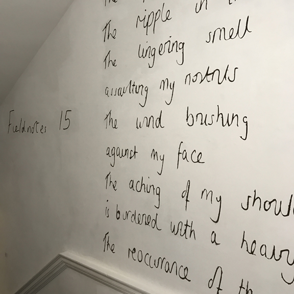 Gemma Green, Fieldnotes 15
