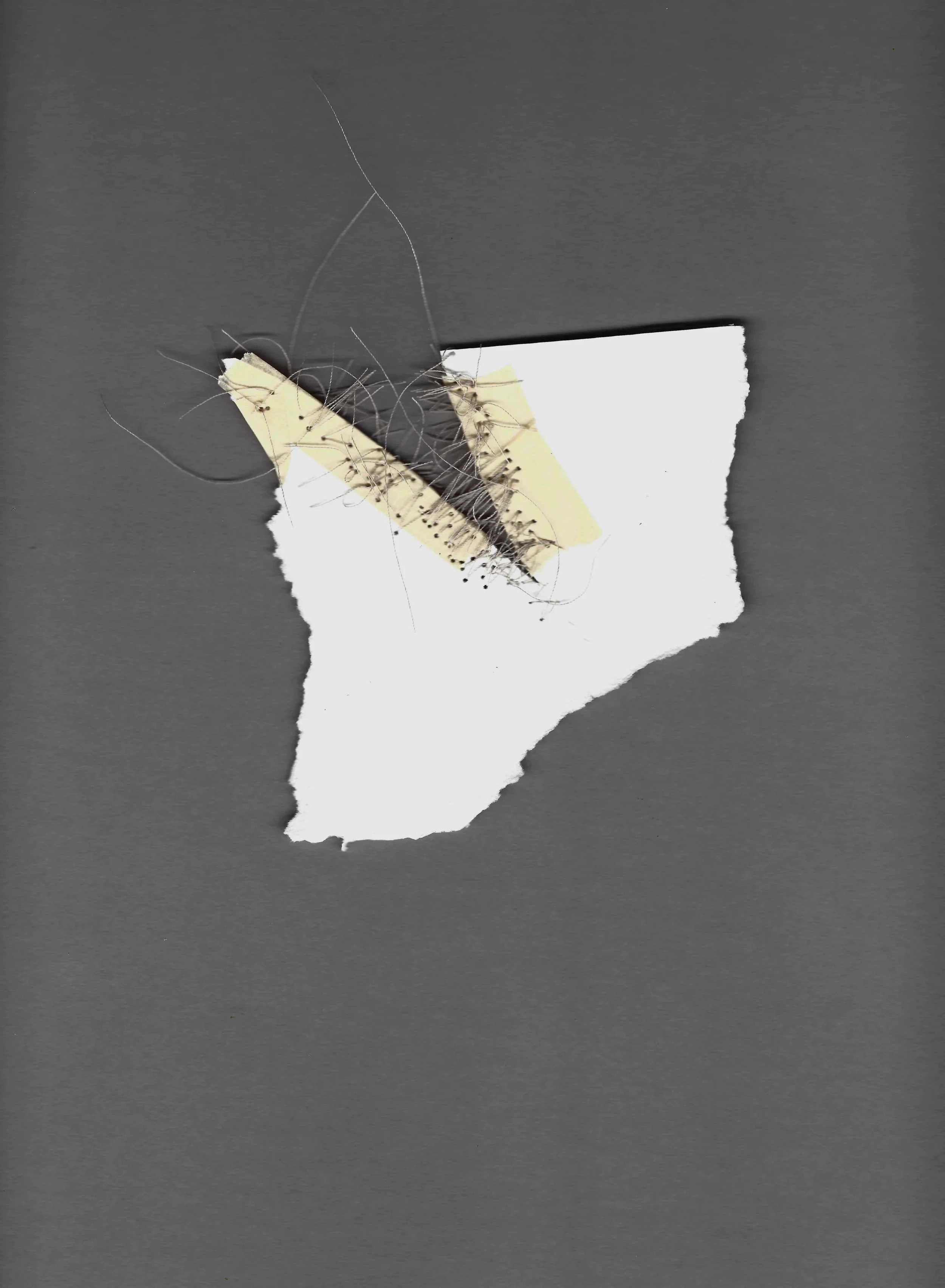 Kelly M. O'Brien, Mending | Tending . Paper, tape, thread. Dimensions variable. ©2017.