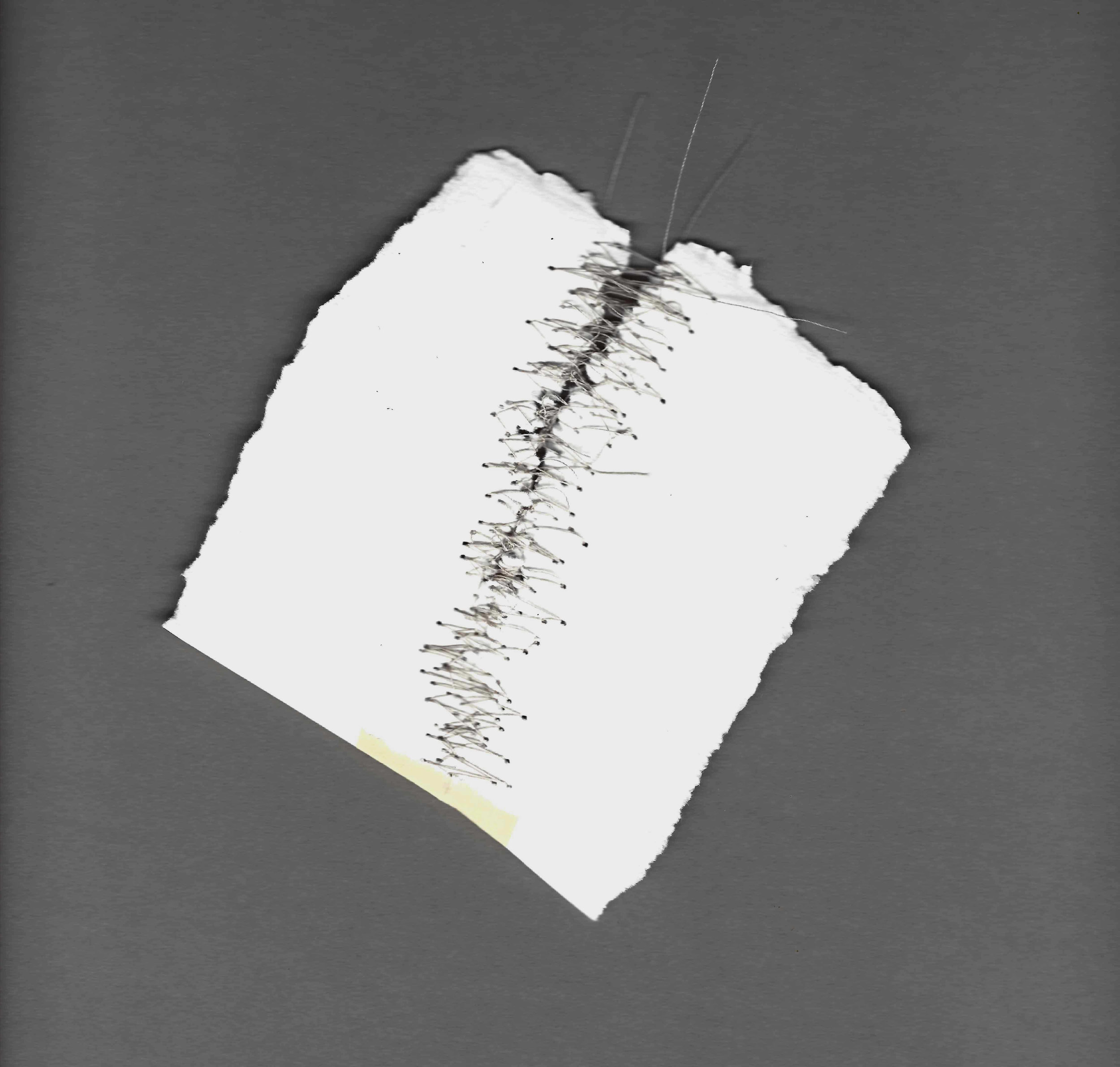 Kelly M. O'Brien, Mending | Tending . Paper, thread. Dimensions variable. ©2017.