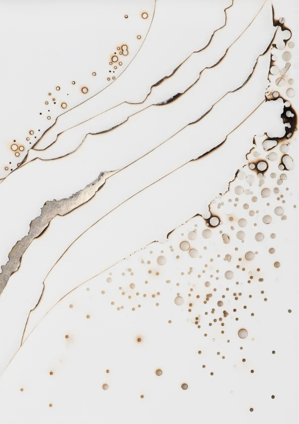 Kelly M. O'Brien, Playing With Fire No. 7 . Paper, gold leaf, ink, flame. 21.5 x 18 x 2.75 inches. ©2013. Private collection.