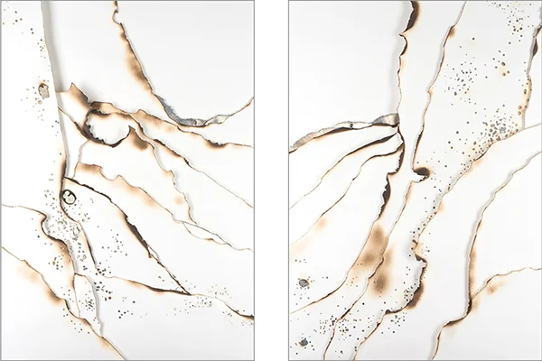 Kelly M. O'Brien, Hand-embellished prints ( Playing With Fire No. 25 and 26 ). Hand-burned digital images on paper with gold leaf. 183x122 cm | 72x48 inches each. ©2018. 