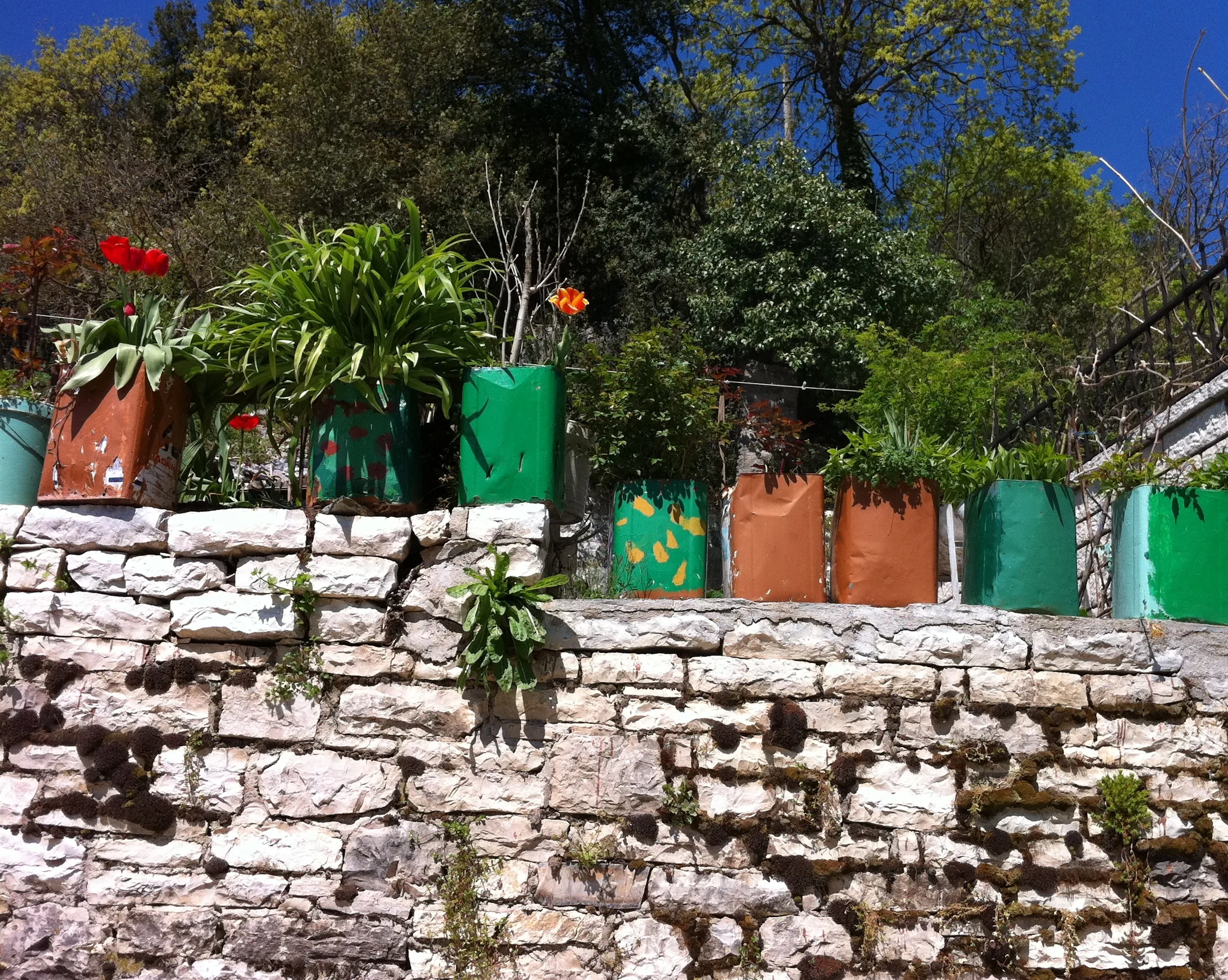 Flowers planted in feta pots, Ano Pedina