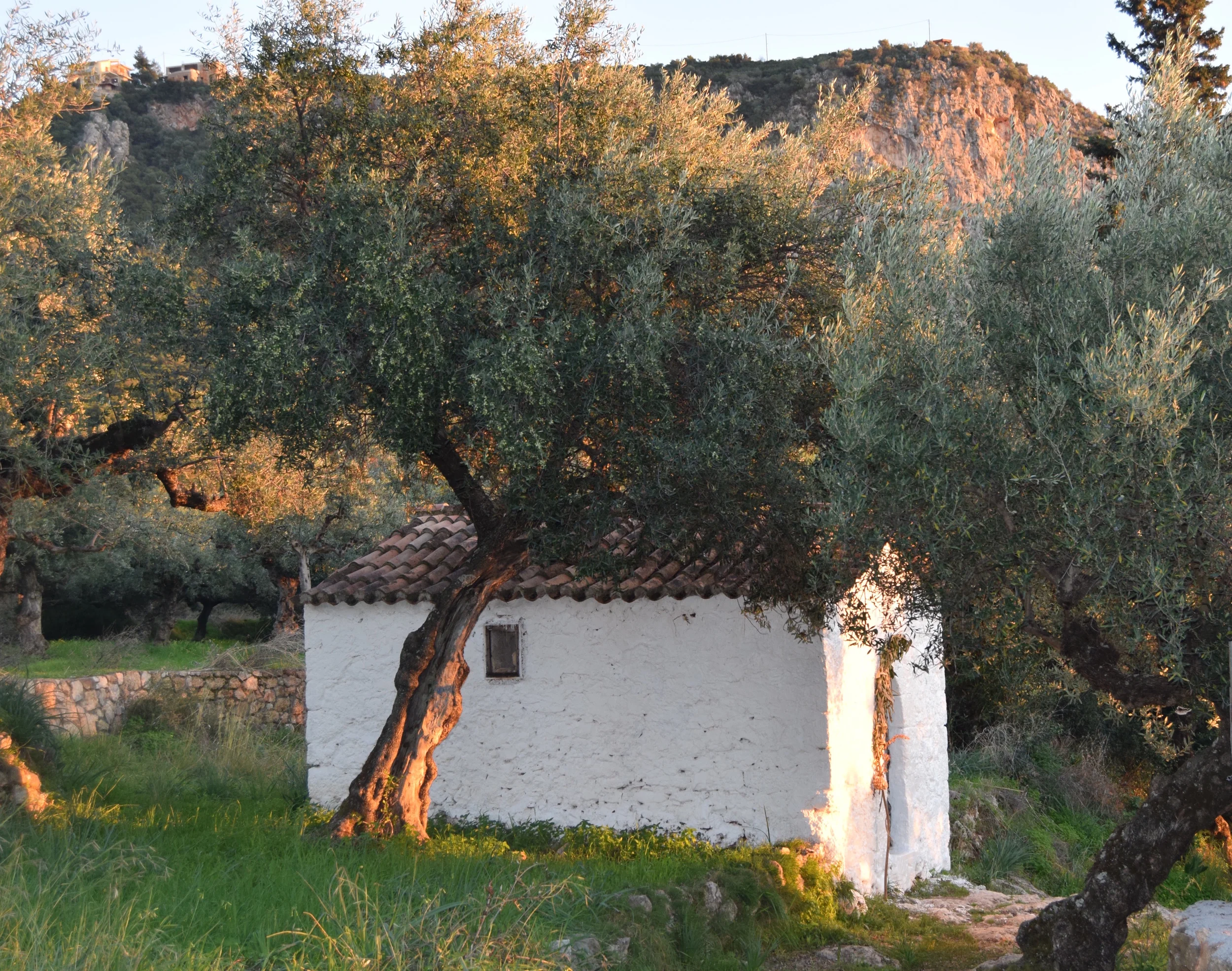 Aghios Michalis