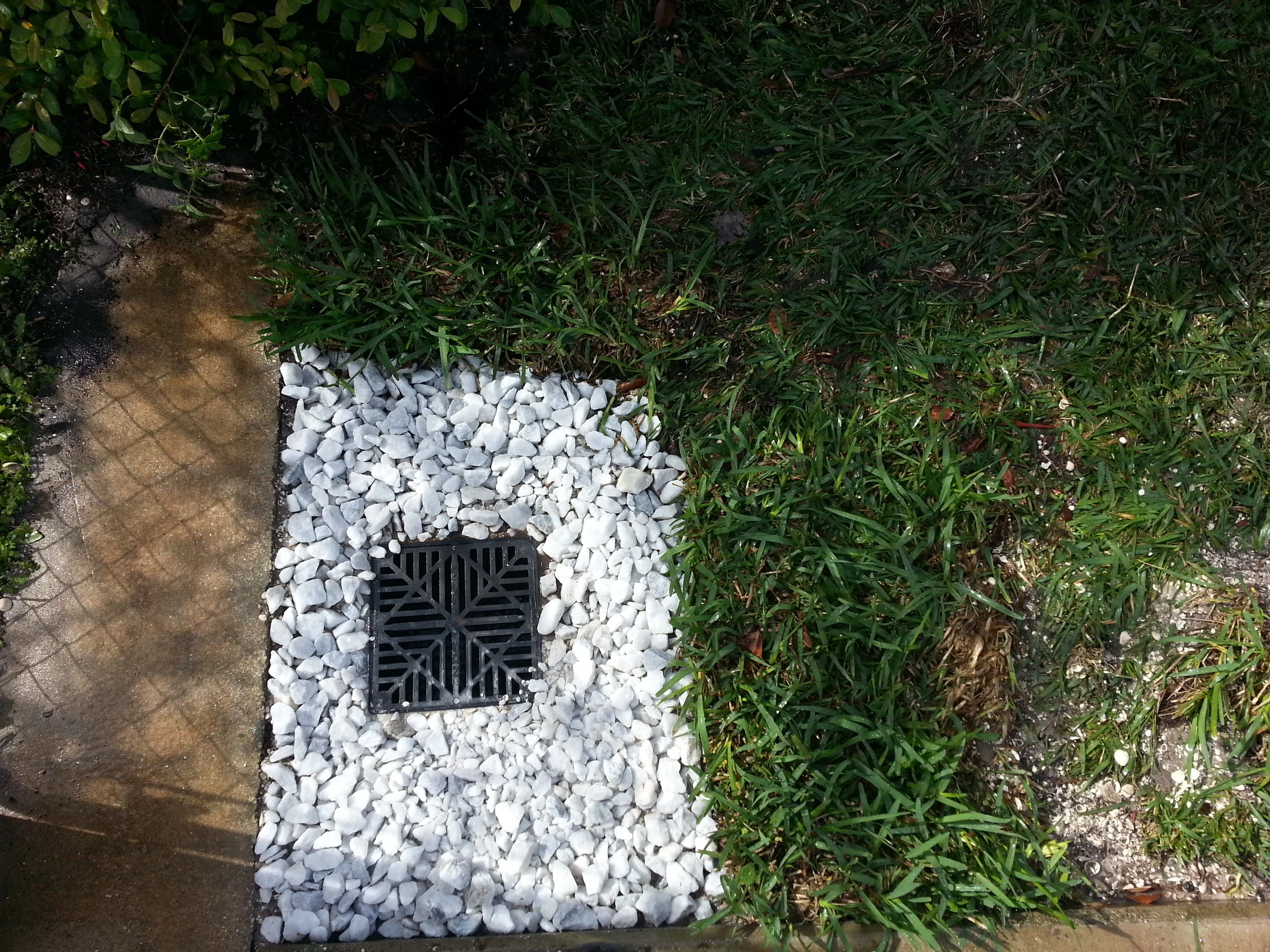 20140113_122645.jpg