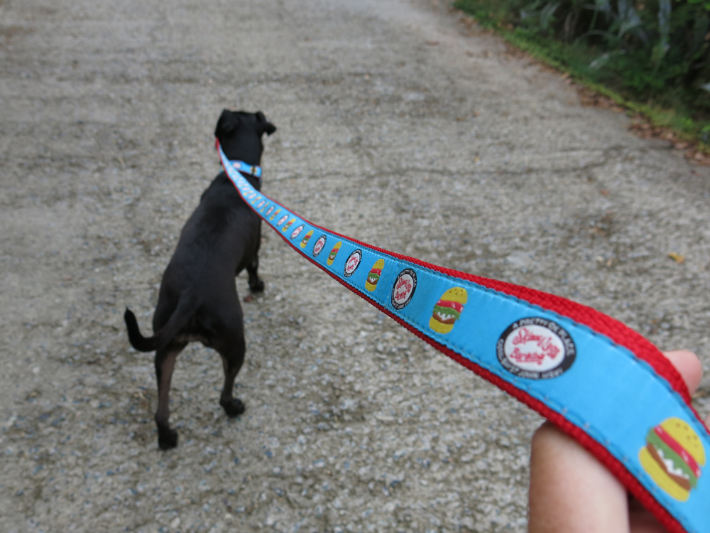 skinny leash 3.jpg