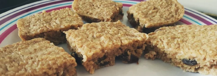 Raisin & Cinnamon Oat Bites / Low Syn Flapjacks
