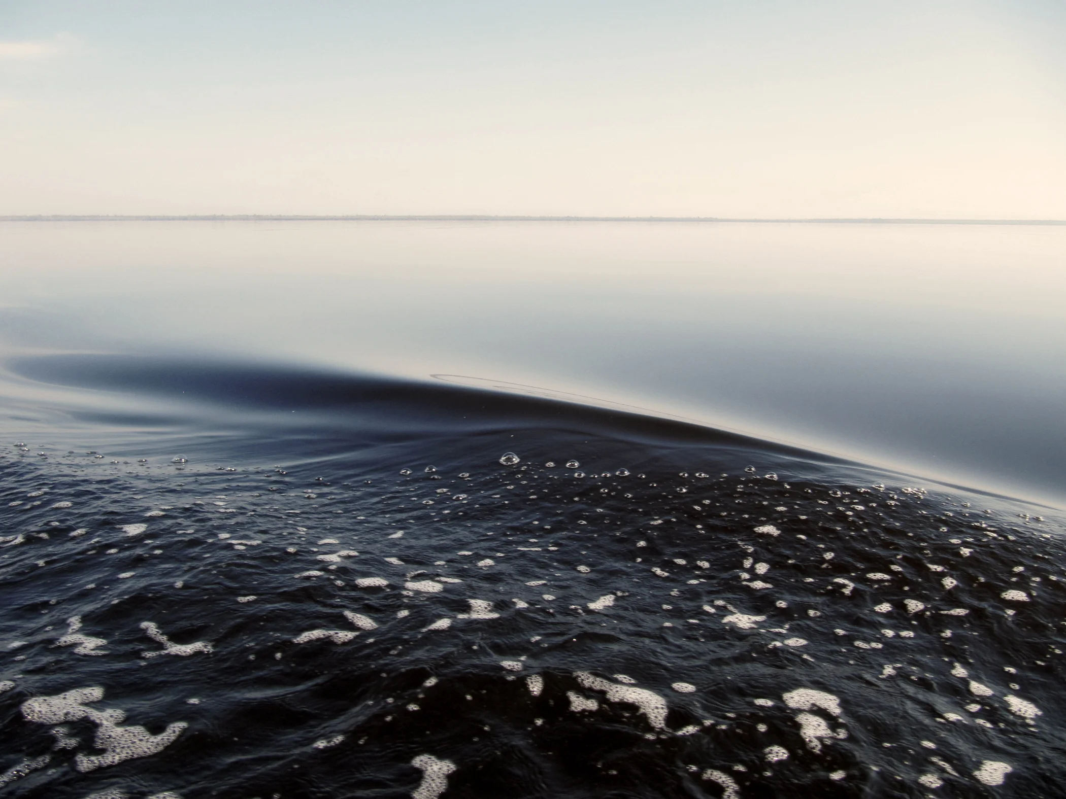 AlligatorRiver029.jpg