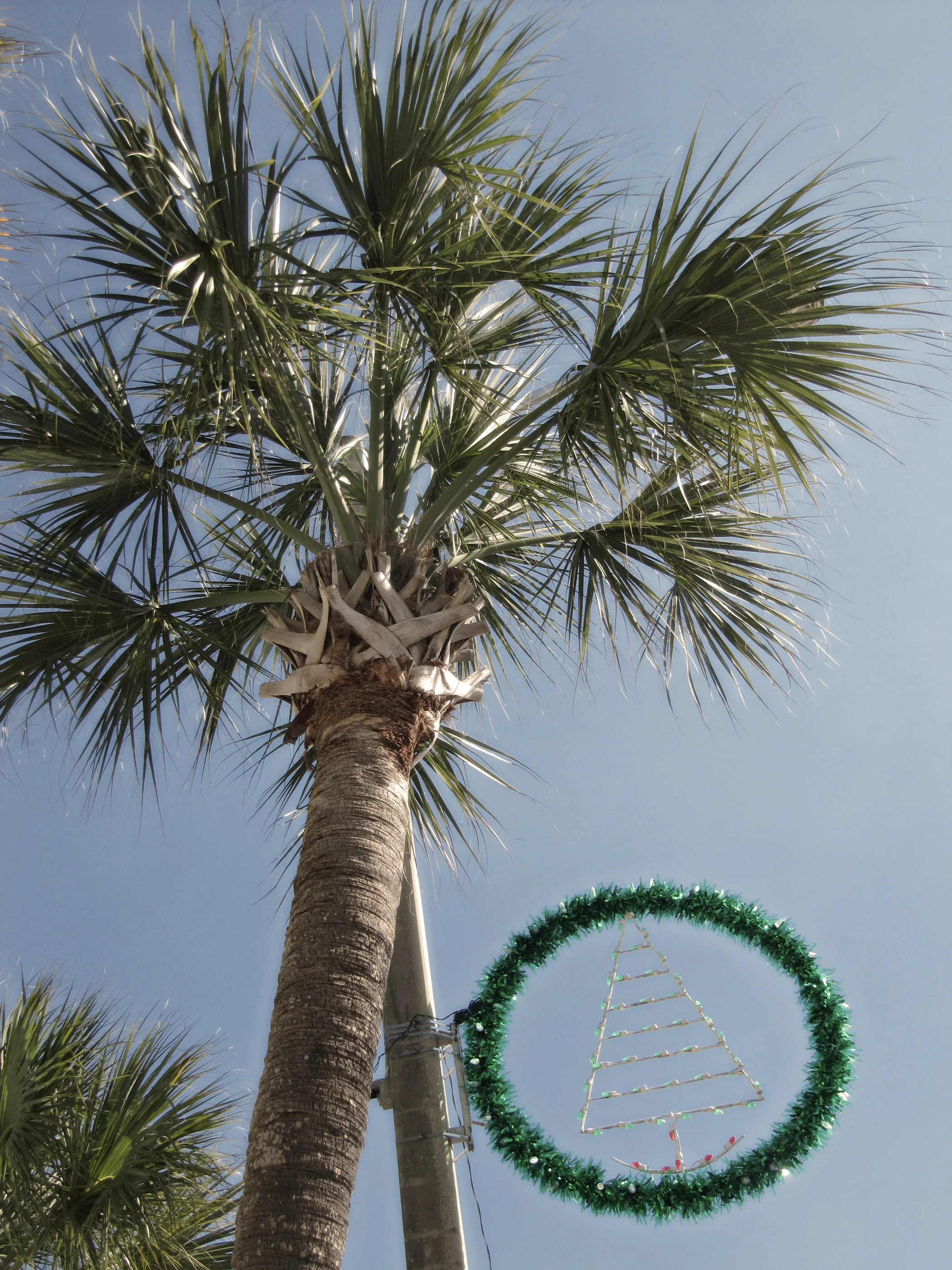Holiday decorations in Vero Beach, FL.
