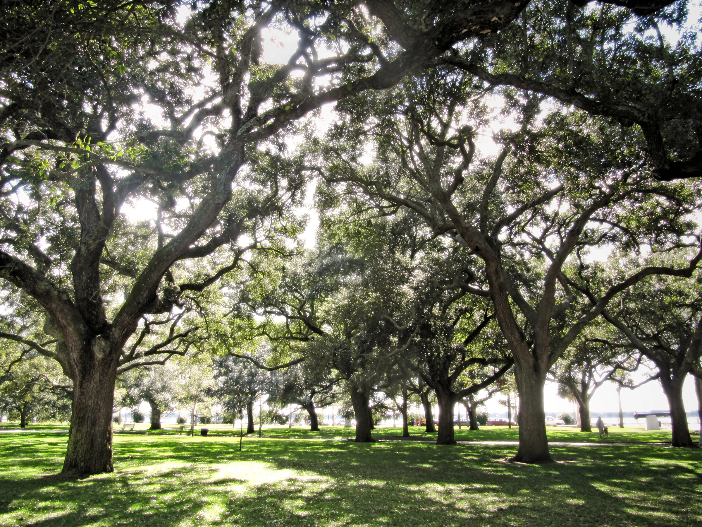 Battery Park in Charleston, SC.
