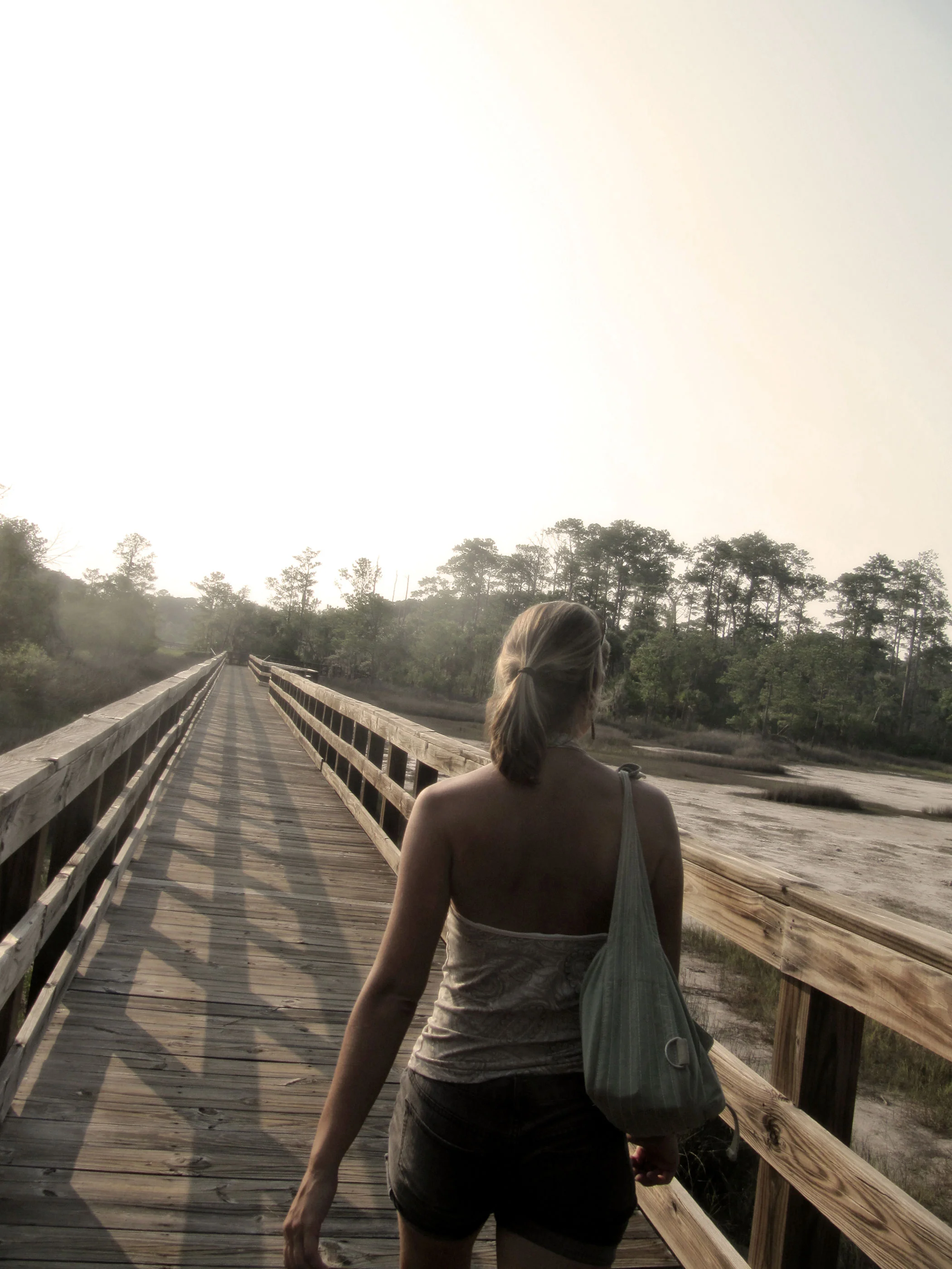 An afternoon walk through Skidaway Island State Park.