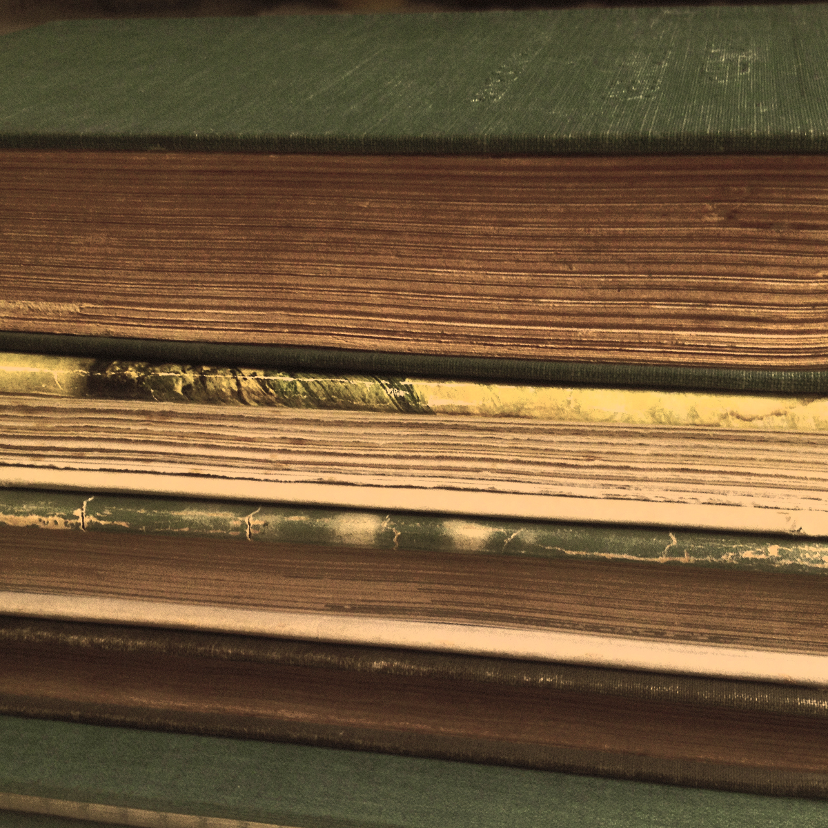 Spring Collection Sneak Peek #2