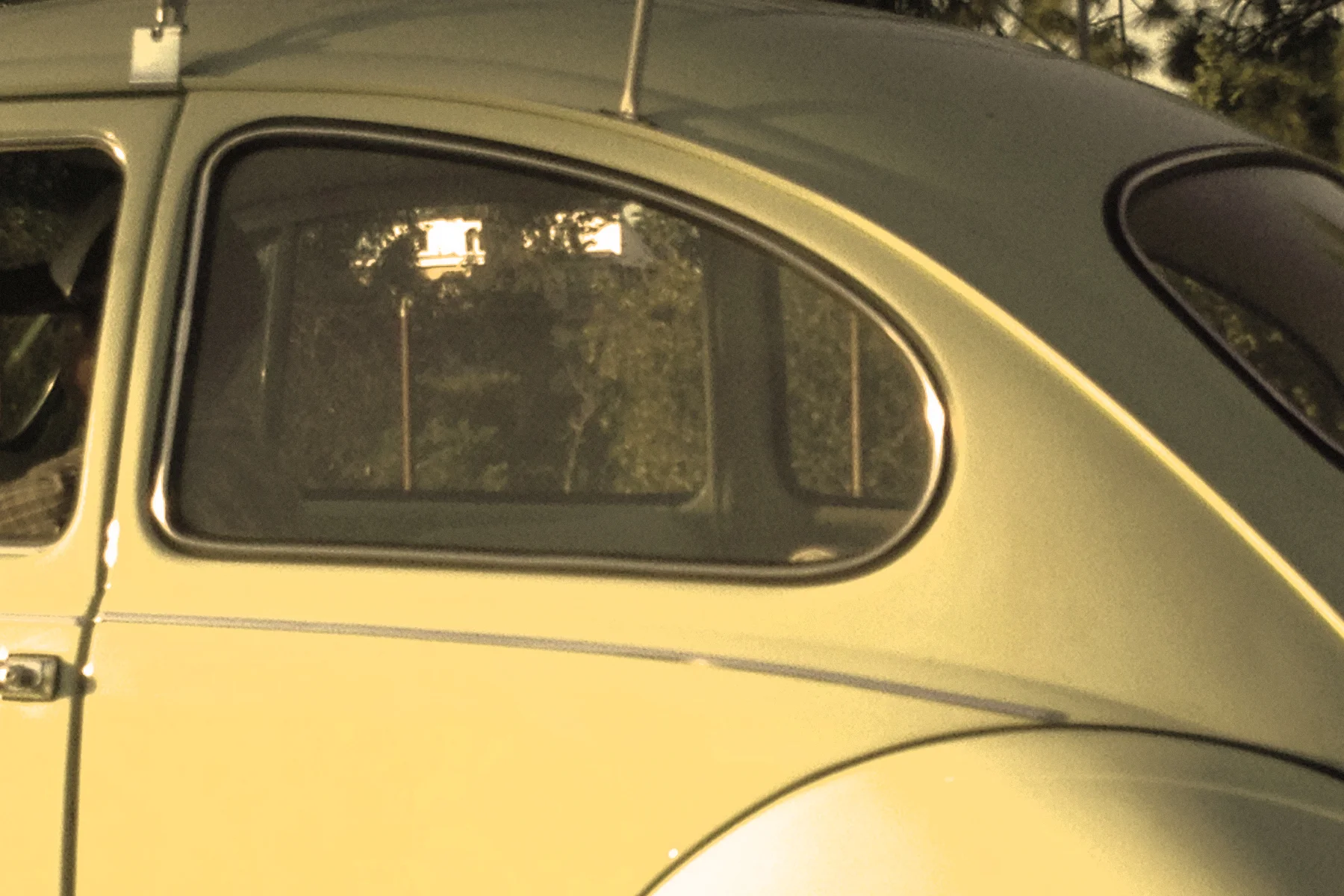 For the love of vintage: Cars