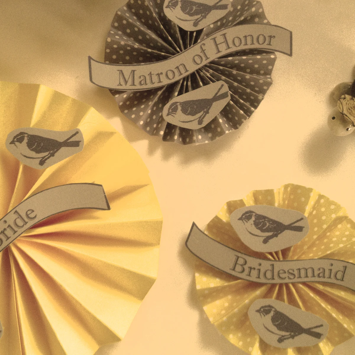 Spring Collection Sneak Peek #4