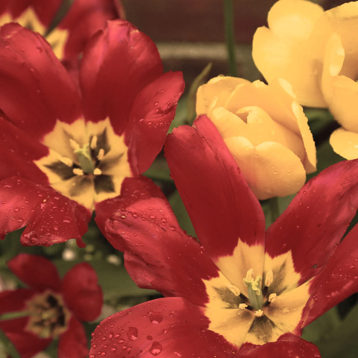 On the Road: Snapshots from Rhode Island