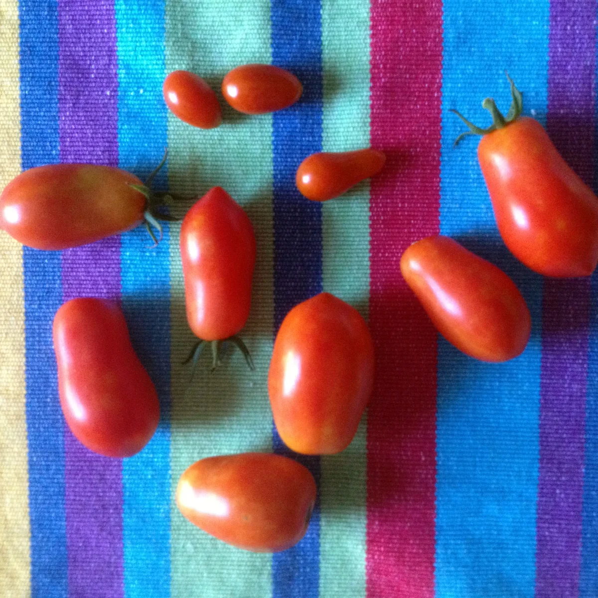 In the kitchen: Homegrown Veggie Pitas