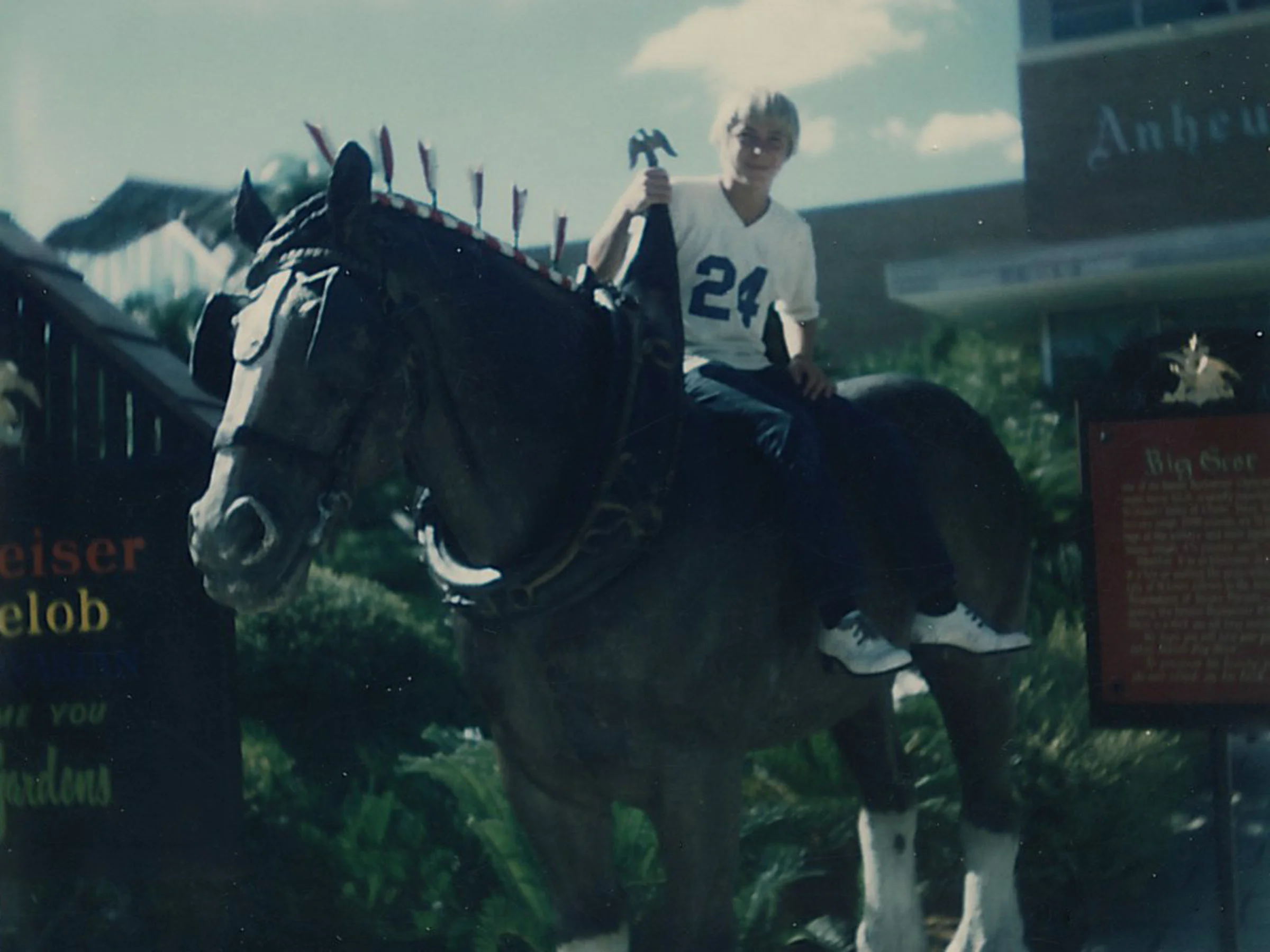 buschhorse.jpg