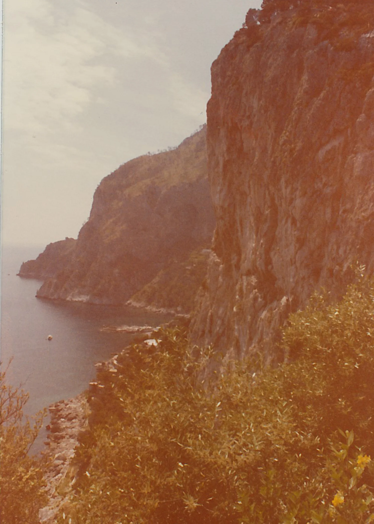 capri4.jpg