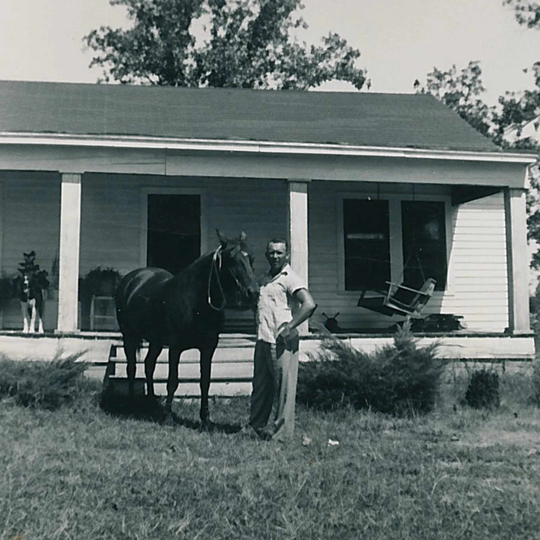 Gerald and a horse.