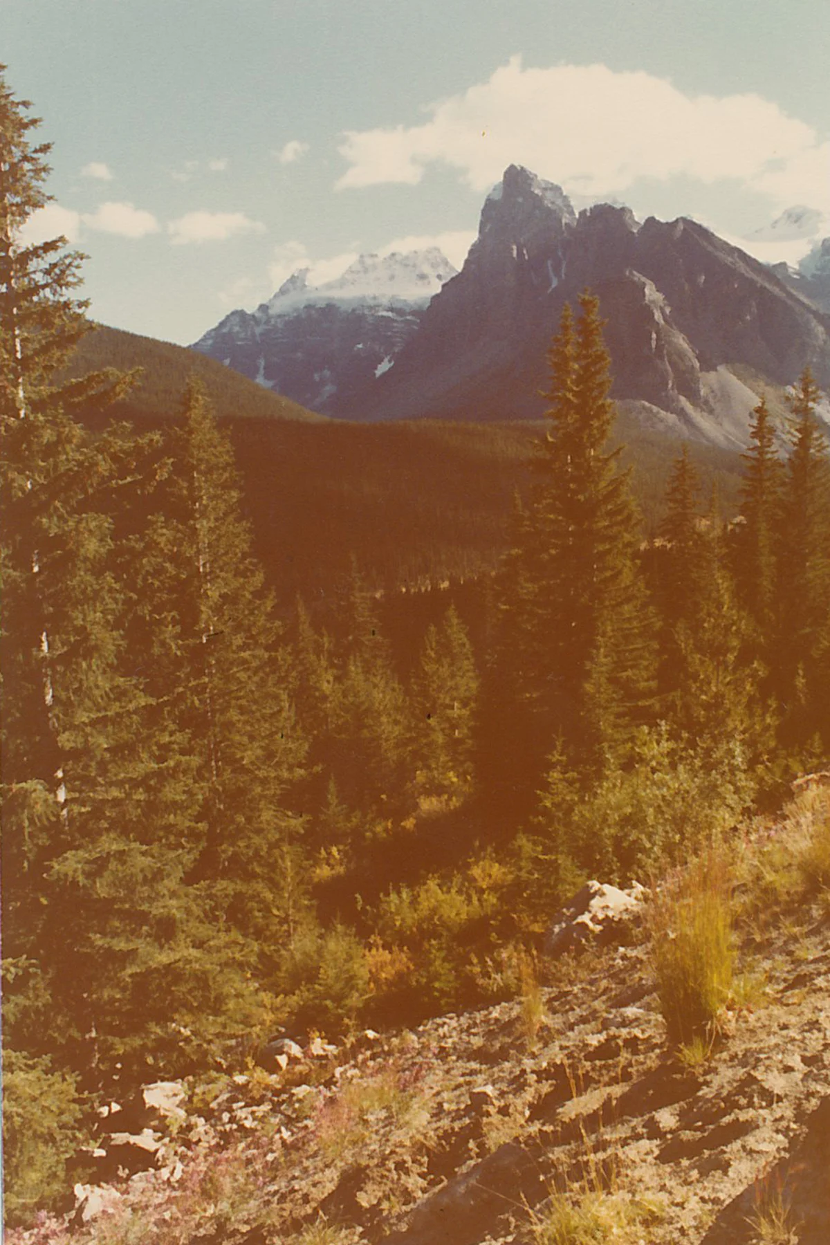mountains2.jpg