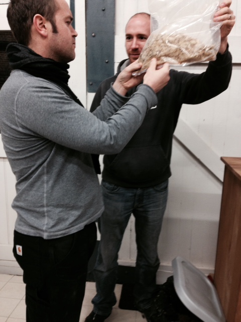 20th December 2015 - Anthony Baraff and Nick Malmquist during the brew inspecting some old hops (specifically chosen so as to deter the growth of undesirable bacteria but not inhibit lactic acid bacteria as a result of oxidation a alpha acids)