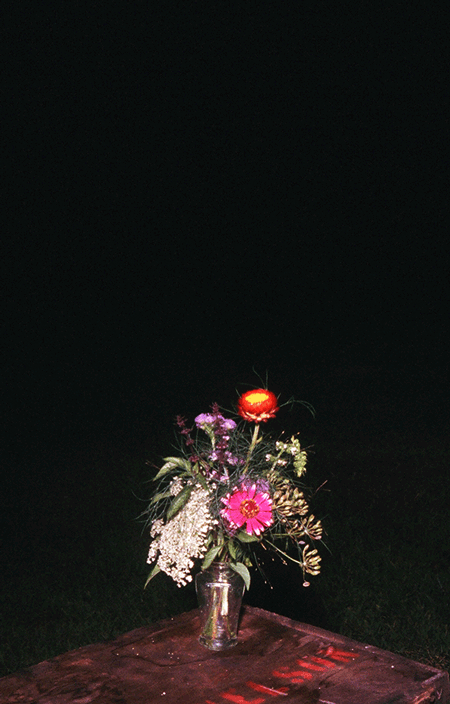 2015-09-still-life-elliottburford-10.gif