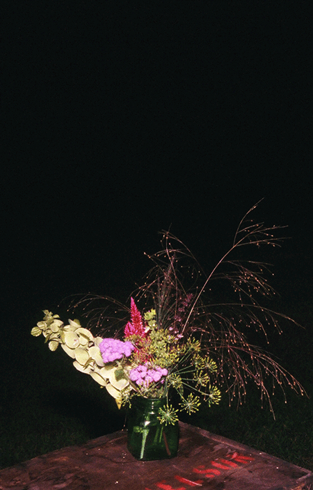 2015-09-still-life-elliottburford-14.gif
