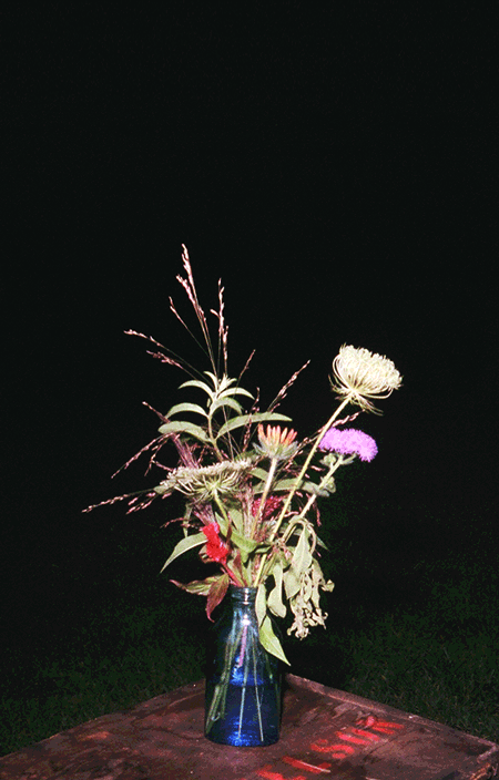 2015-09-still-life-elliottburford-18.gif