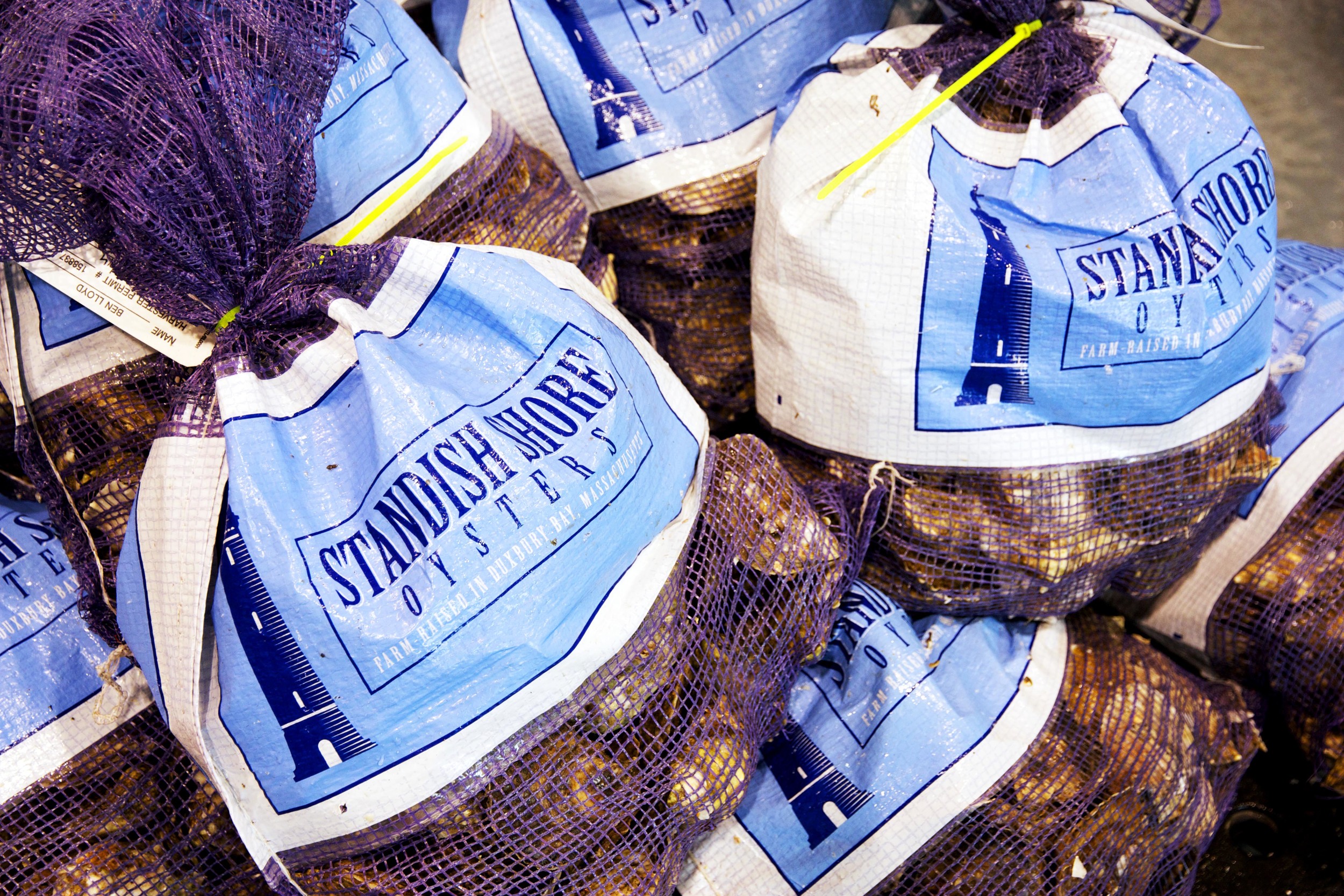 Standish Shore Bags.jpg