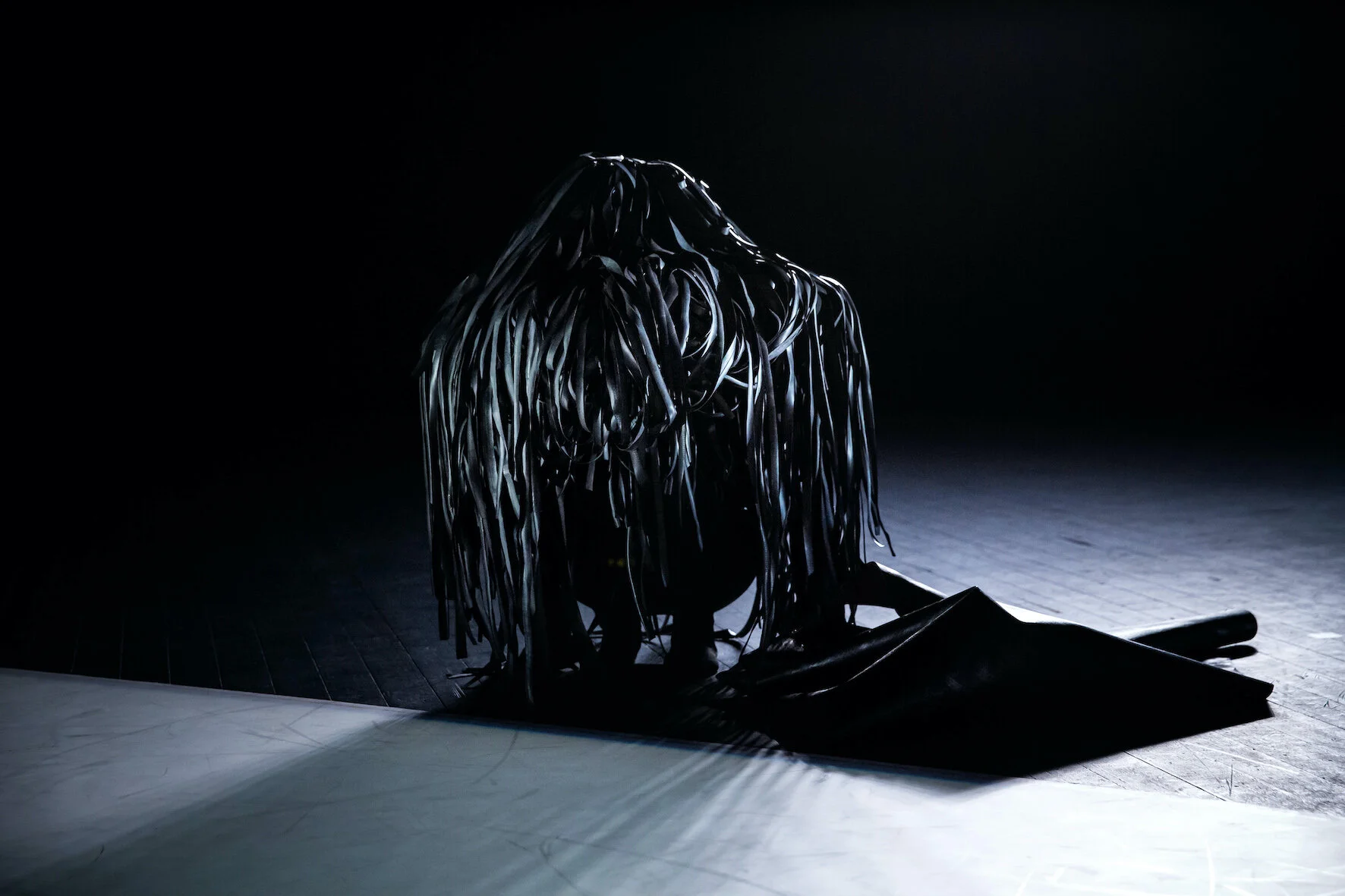   Corpus  © Delphine Perrin 