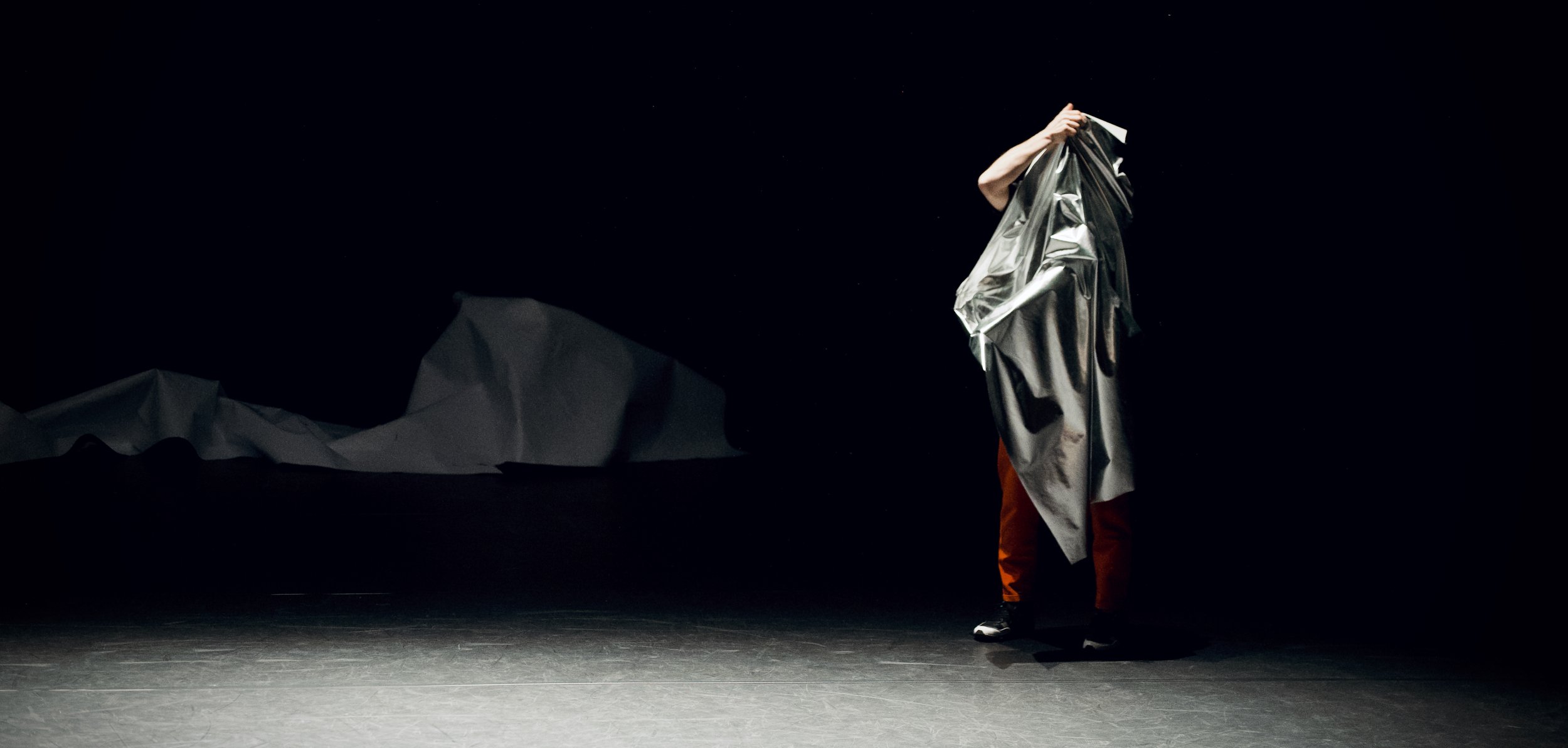   Narcisse  © Antoine Billet 