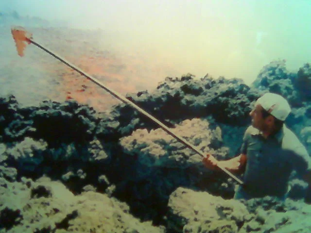   Image of a Lava medallion from the artist, Ilana Halperin's public library.  
