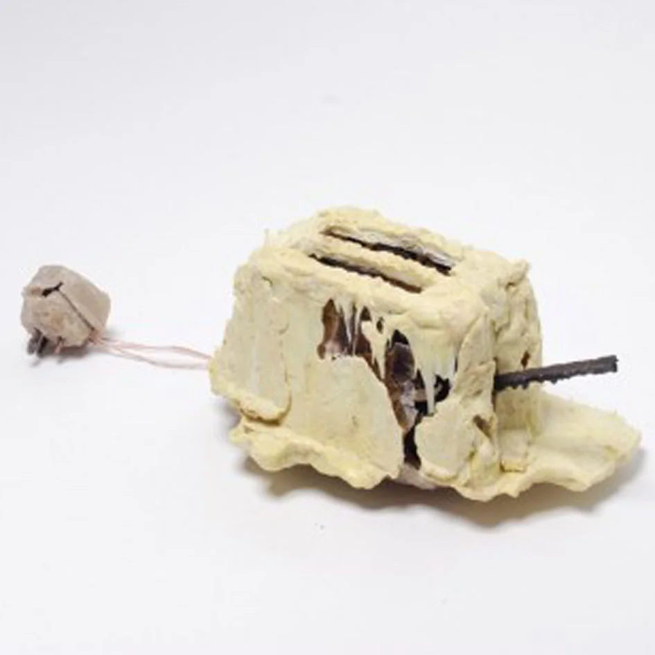  Image courtesy of Thomas Thwaites. The Toaster Project. 