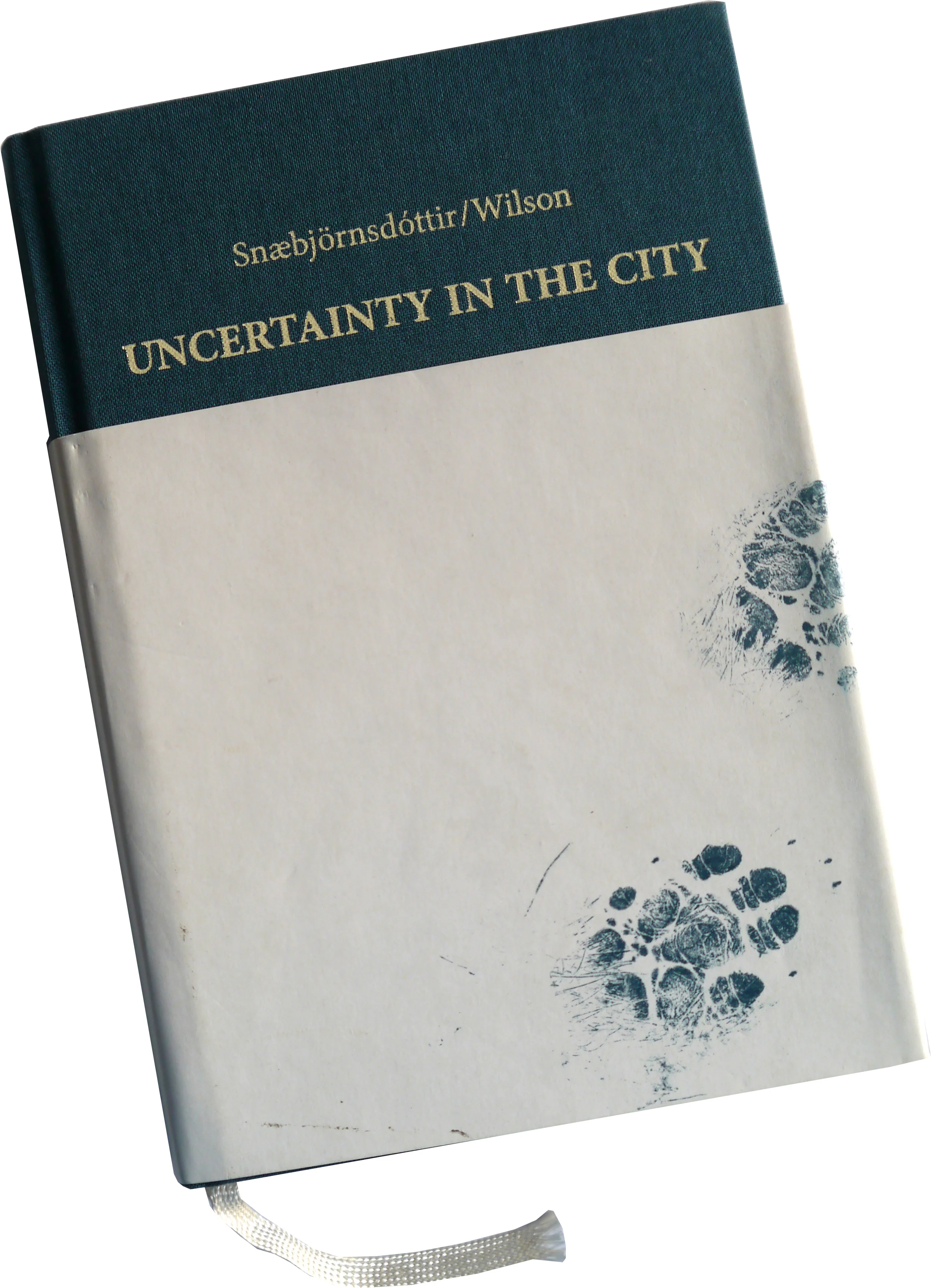 uncertainty book.jpg