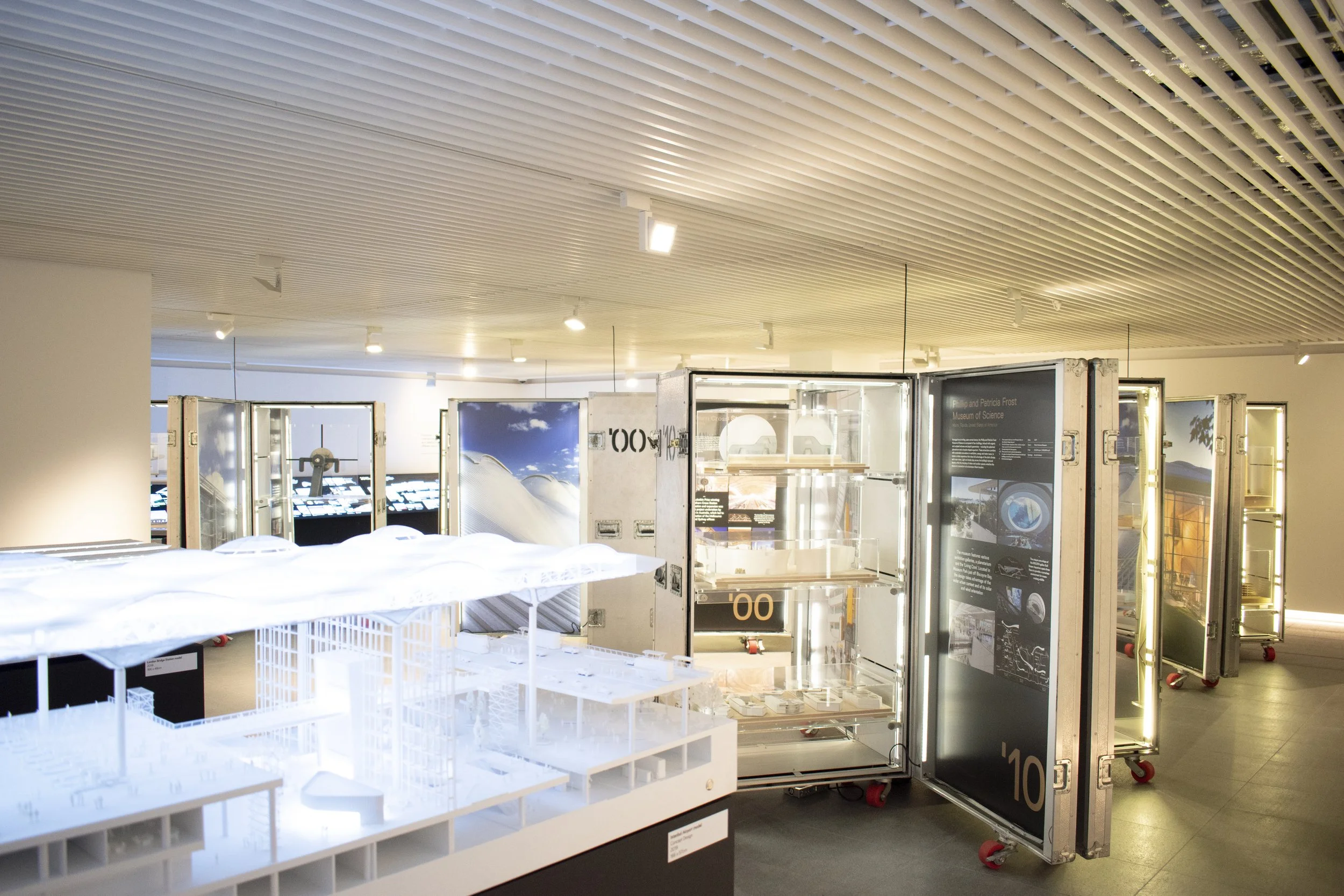 evolution-installation-shot_48181028652_o.jpg