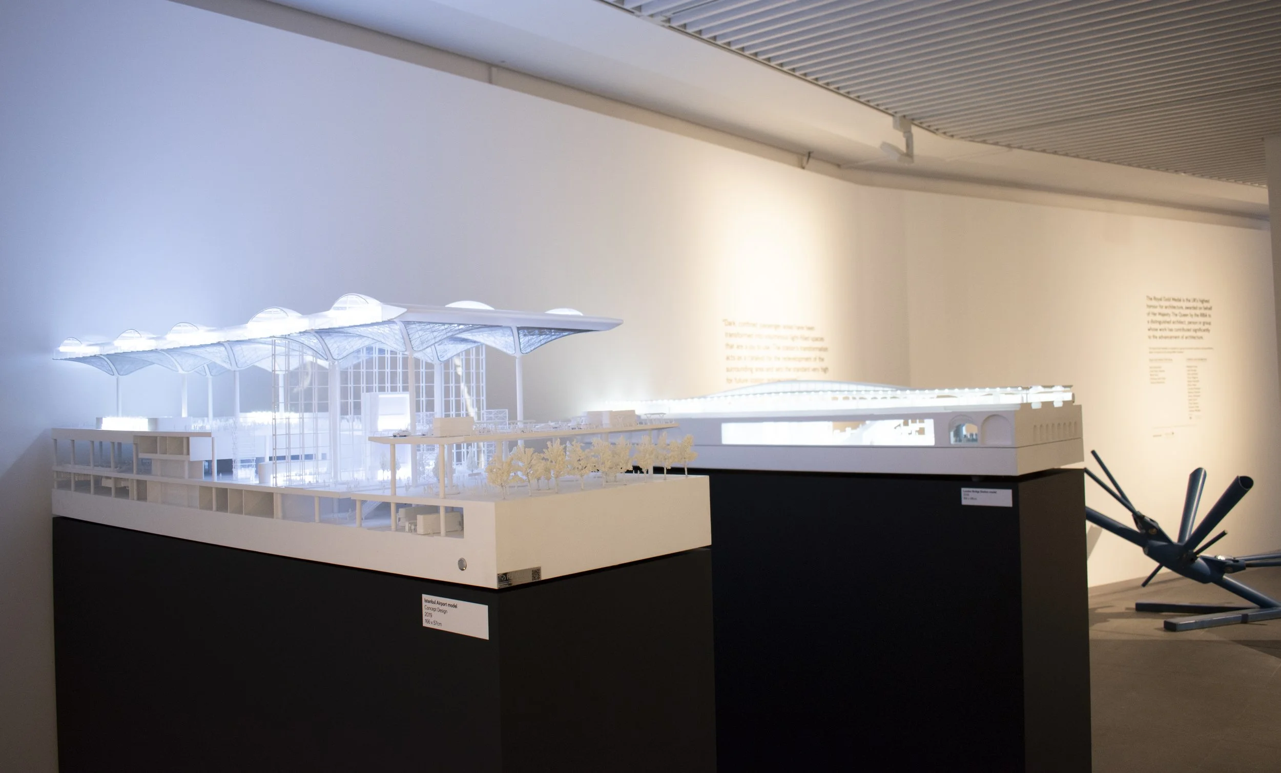 evolution-installation-shot_48181037212_o.jpg