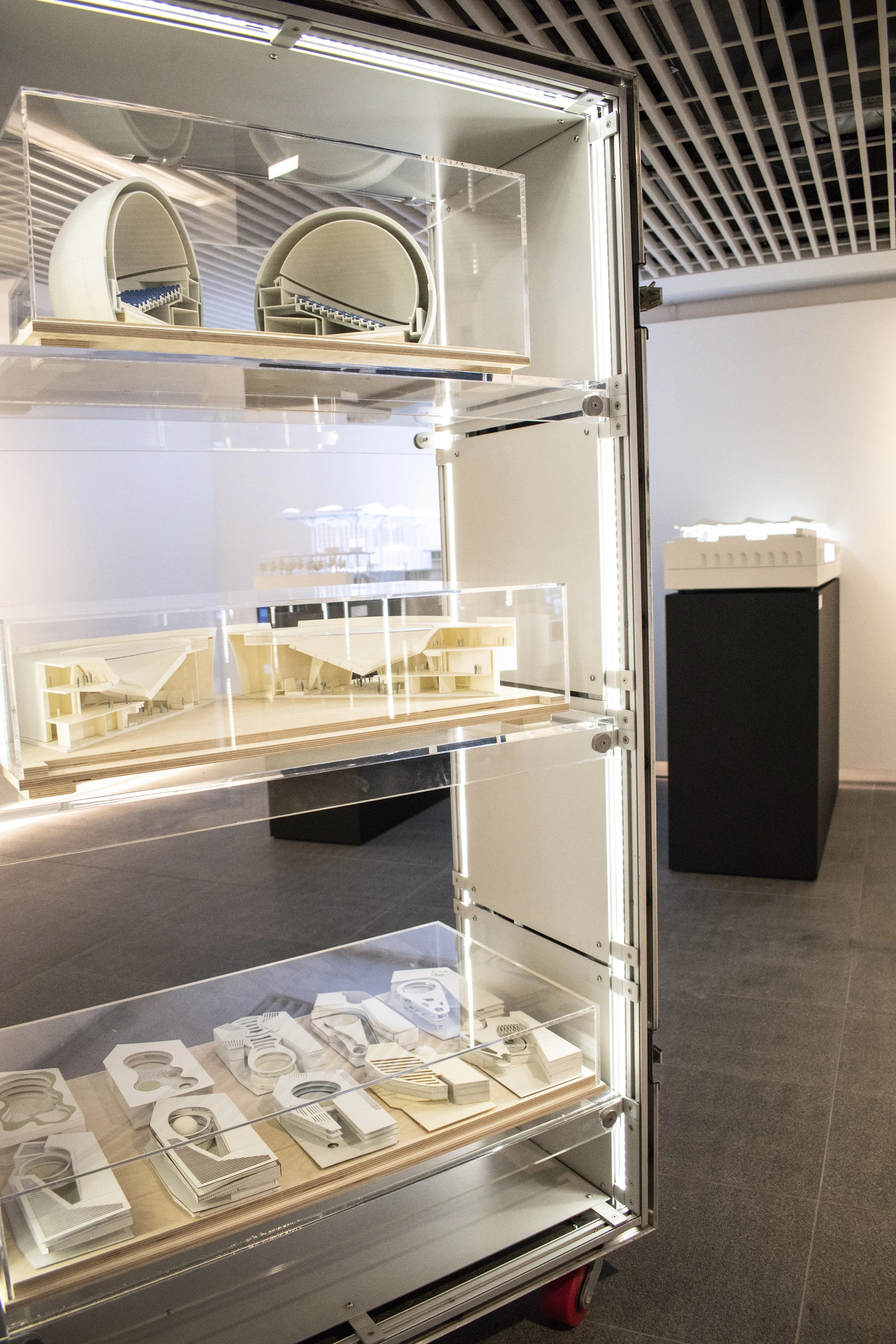 evolution-installation-shot_48181035592_o.jpg
