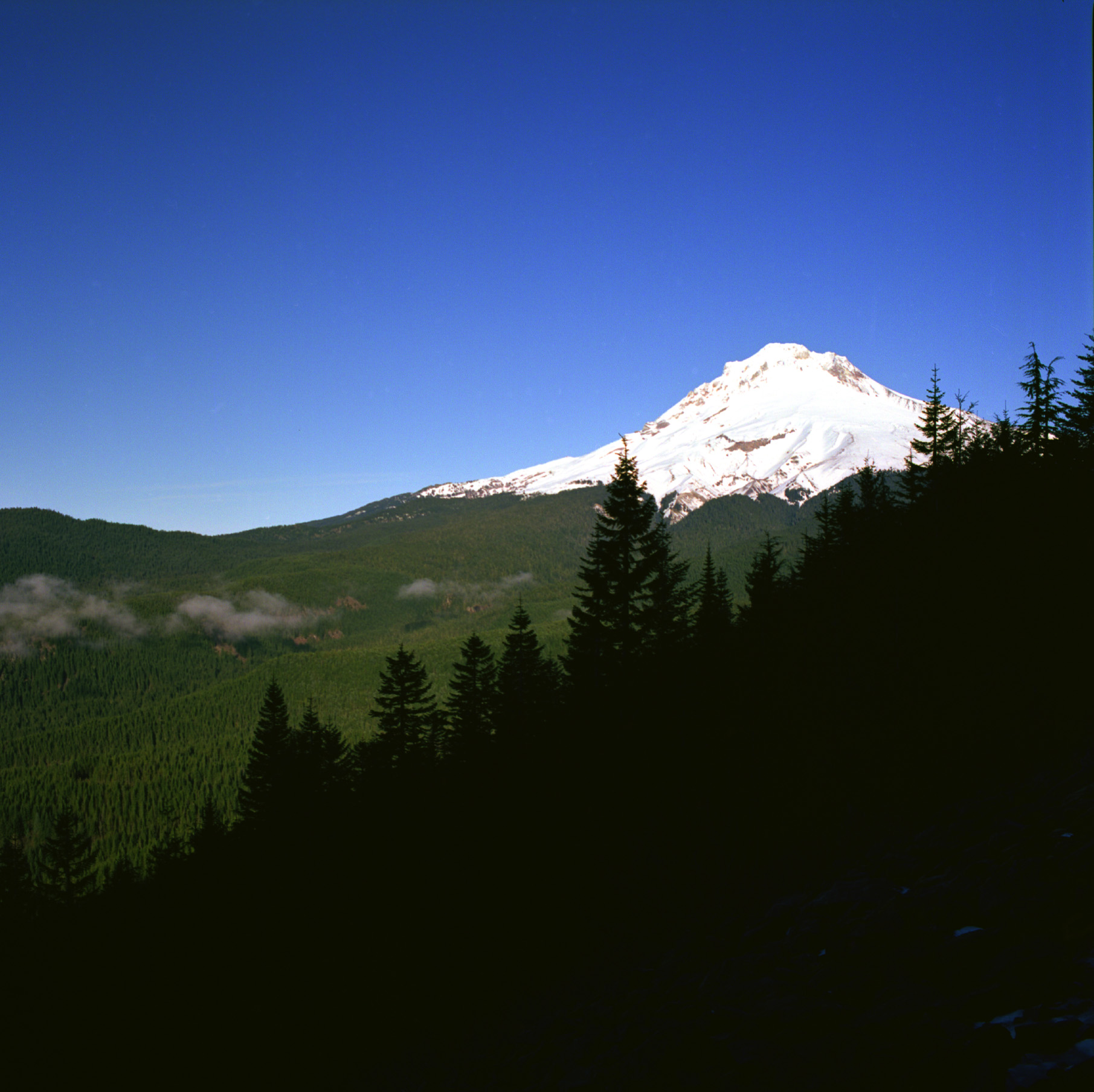 Mt. Hood