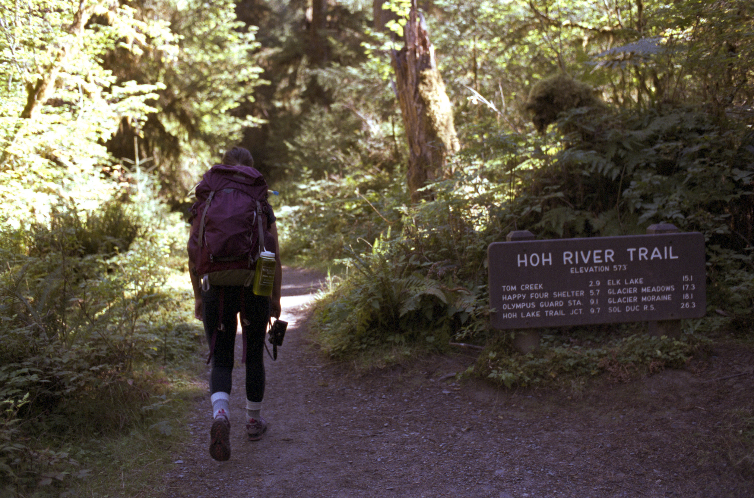 Hoh River Trail